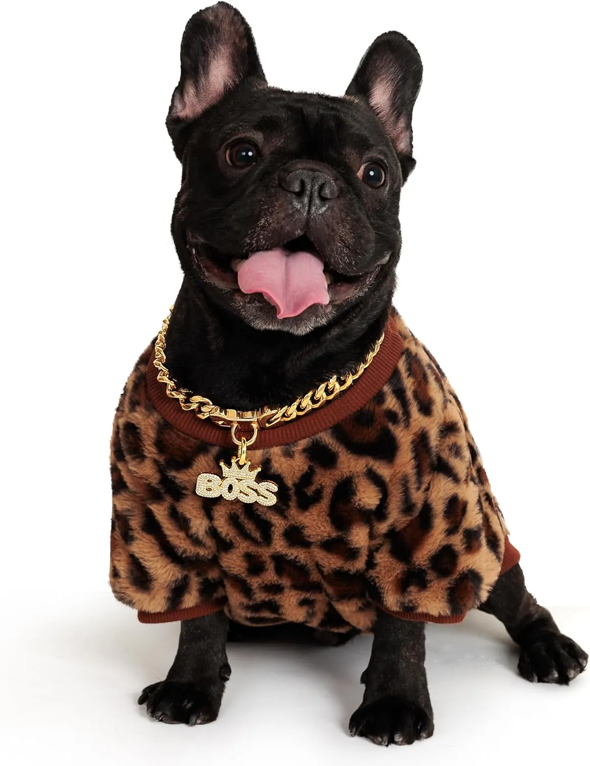 18K Cuban Link Dog Collar, 15MM Gold Dog Chain Collar, Heavy Duty Walking Metal Pet Cuban Collar Jewelry for Small Dogs, 10 inch