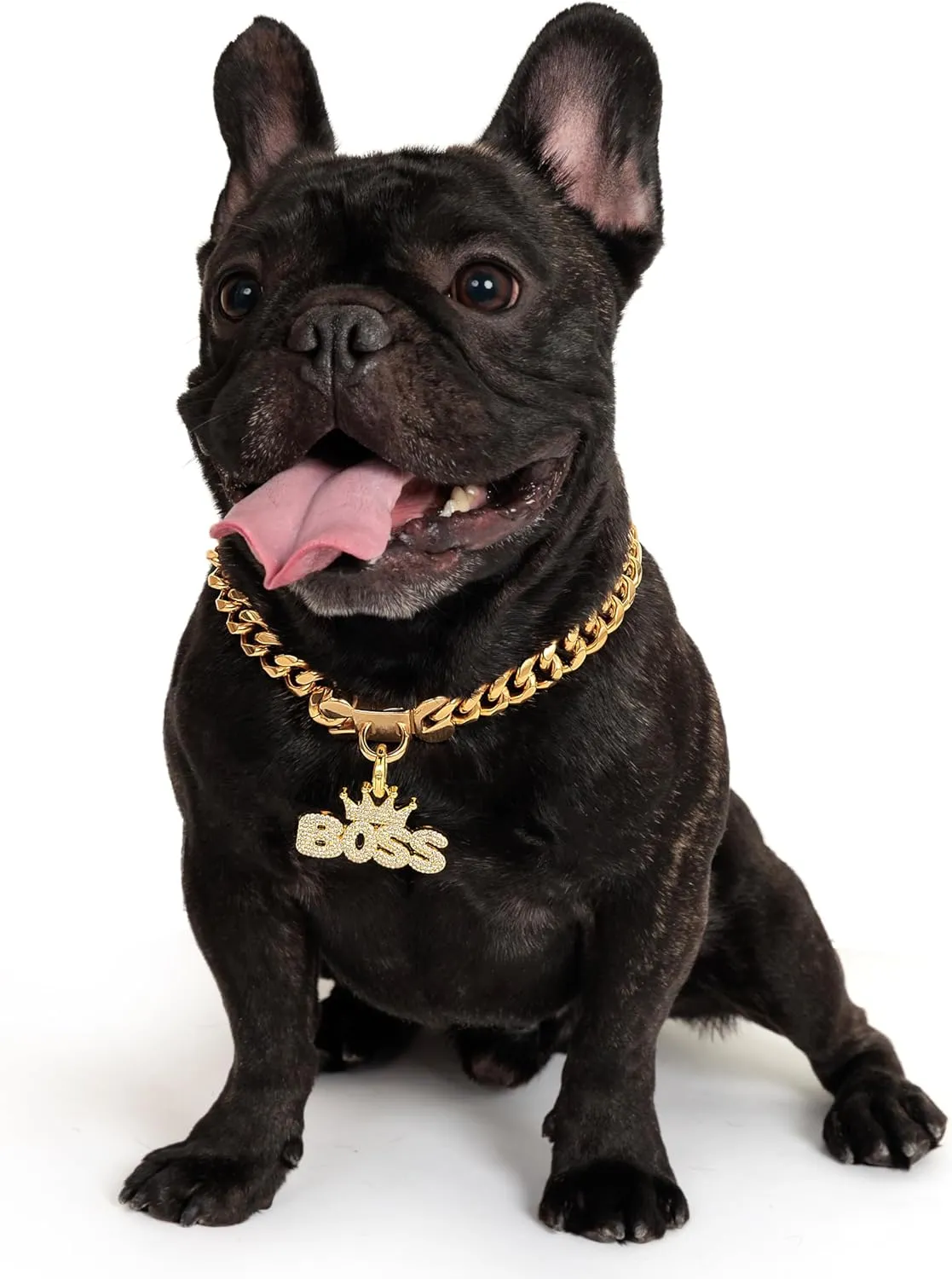 18K Cuban Link Dog Collar, 15MM Gold Dog Chain Collar, Heavy Duty Walking Metal Pet Cuban Collar Jewelry for Small Dogs, 10 inch