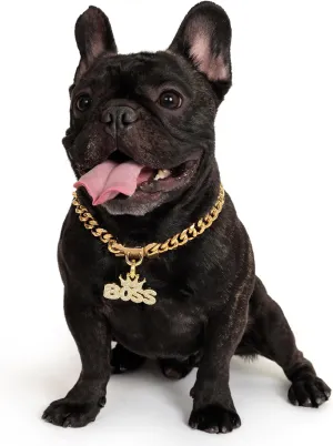18K Cuban Link Dog Collar, 15MM Gold Dog Chain Collar, Heavy Duty Walking Metal Pet Cuban Collar Jewelry for Small Dogs, 10 inch