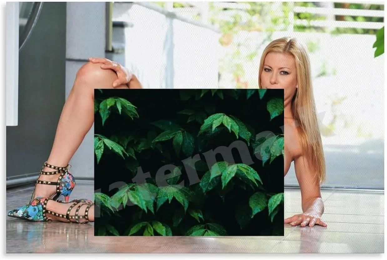 Alexis Fawx Poster Sexy Portrait Art (9) Canvas Painting Wall Art Poster for Bedroom Living Room Decor 24x16inch(60x40cm)