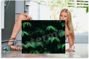 Alexis Fawx Poster Sexy Portrait Art (9) Canvas Painting Wall Art Poster for Bedroom Living Room Decor 24x16inch(60x40cm)