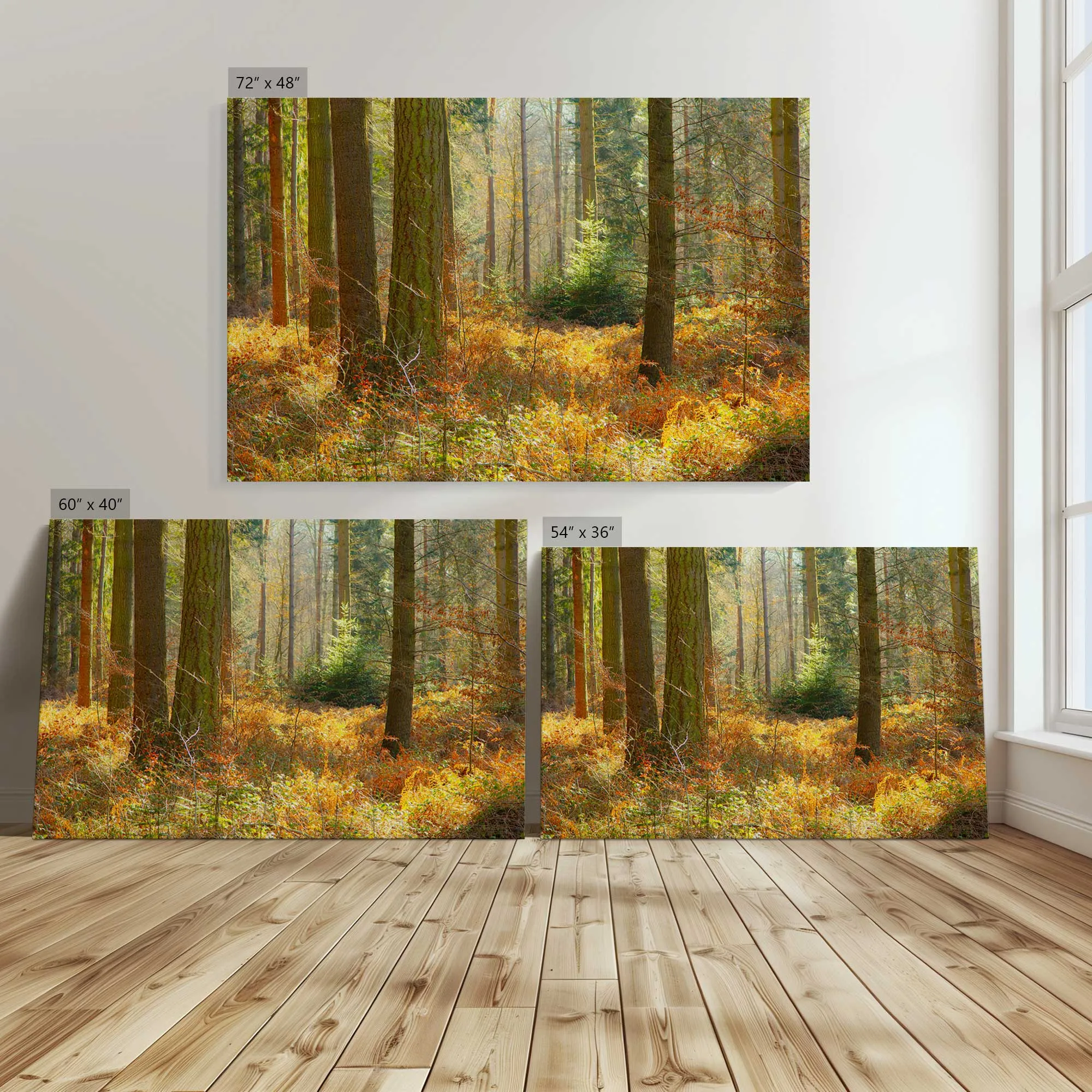 Autumn Whispers in Normandy Large Canvas Print