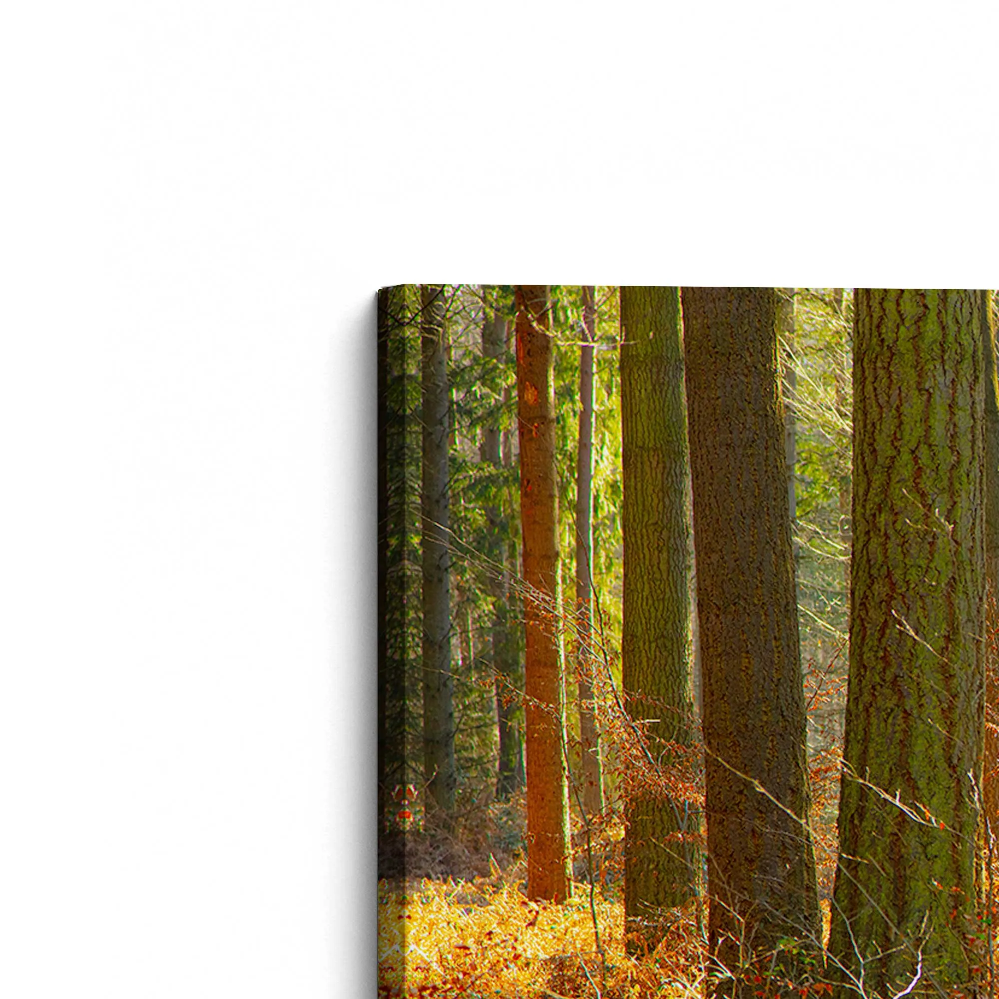 Autumn Whispers in Normandy Large Canvas Print
