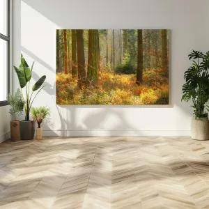 Autumn Whispers in Normandy Large Canvas Print