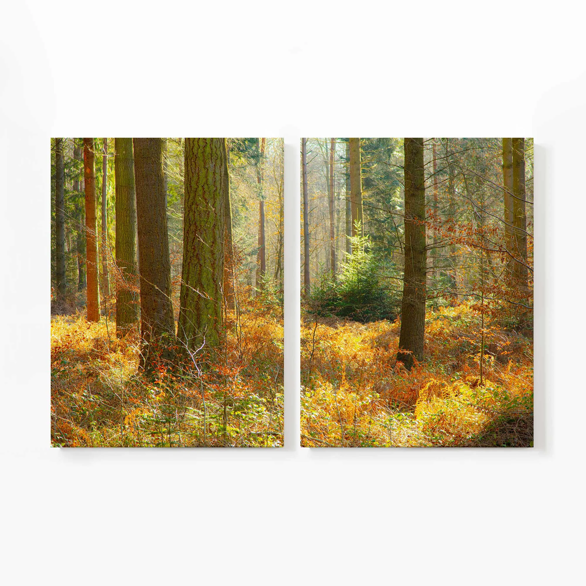 Autumn Whispers in Normandy Large Canvas Print
