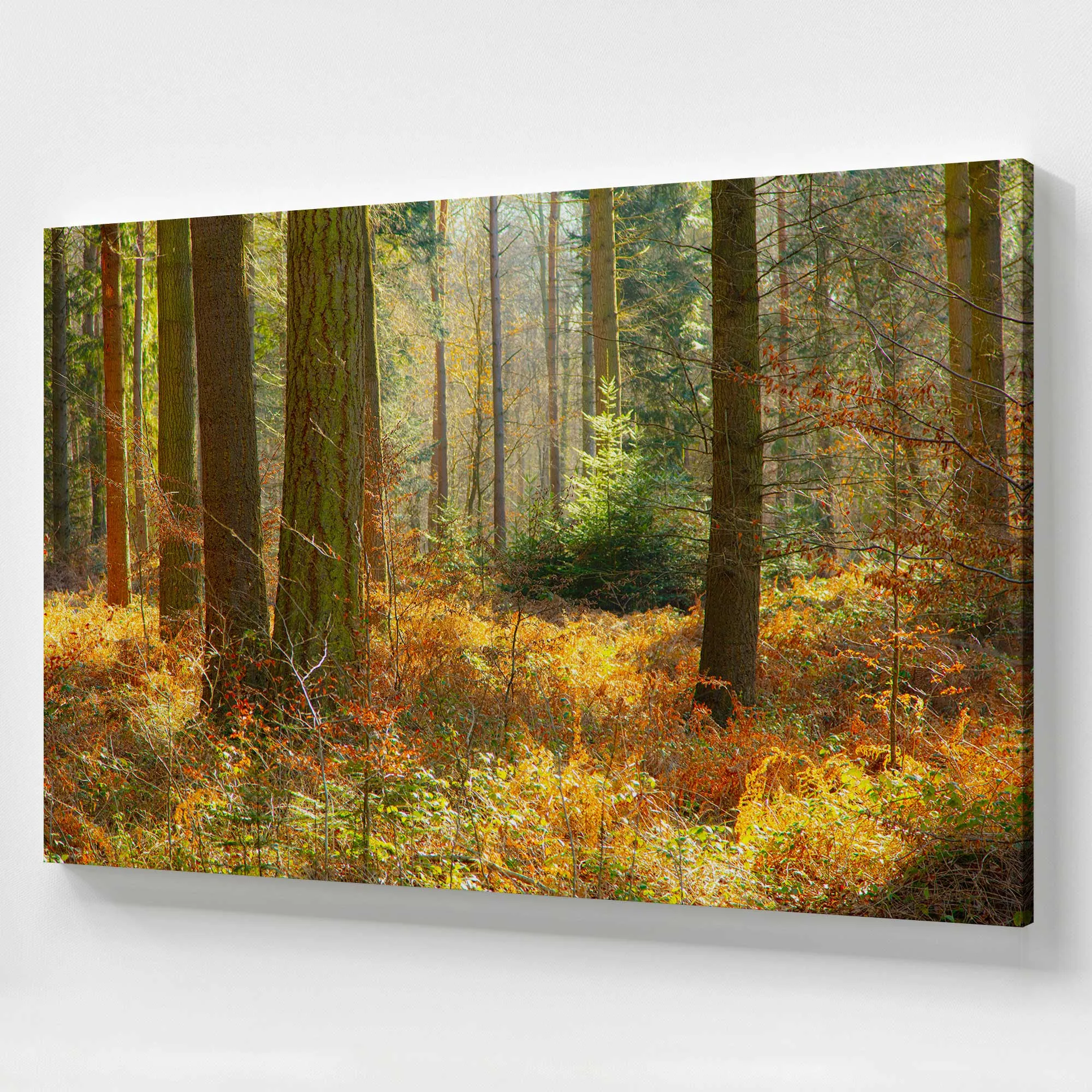 Autumn Whispers in Normandy Large Canvas Print