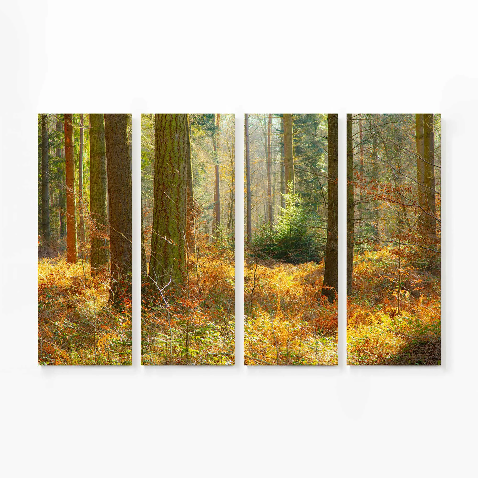 Autumn Whispers in Normandy Large Canvas Print
