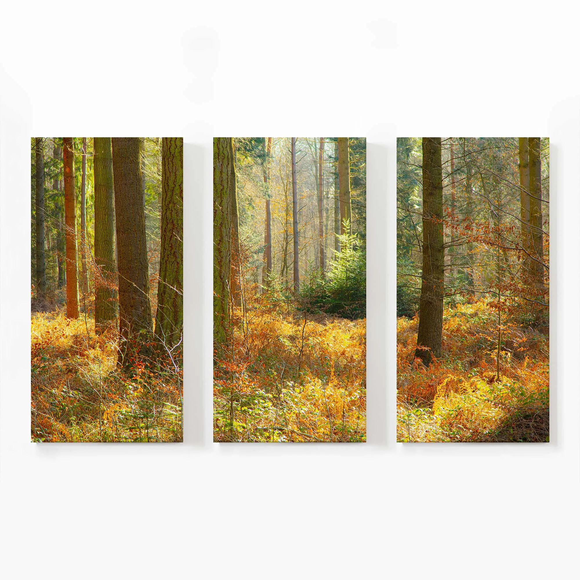 Autumn Whispers in Normandy Large Canvas Print