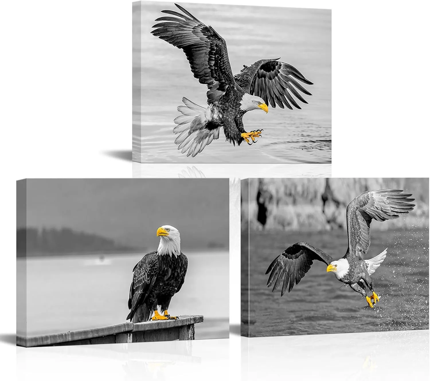 Black And White Animal Wall Art - Flying Eagles Picture Wall Decor for Home Kitchen Dining Room Office Framed Wall Art Ready to Hang,12"x16"3 Panels