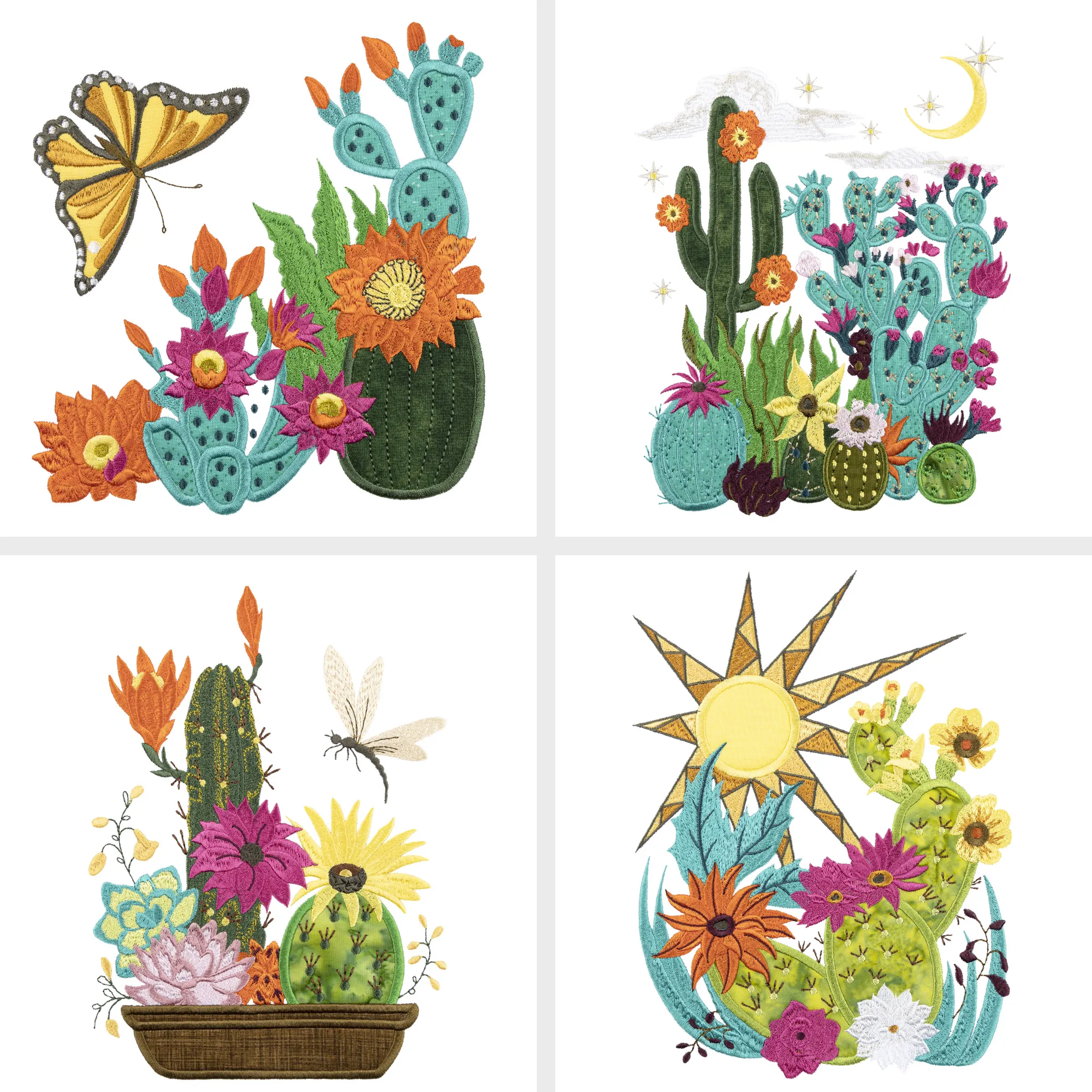 Blooming Cacti