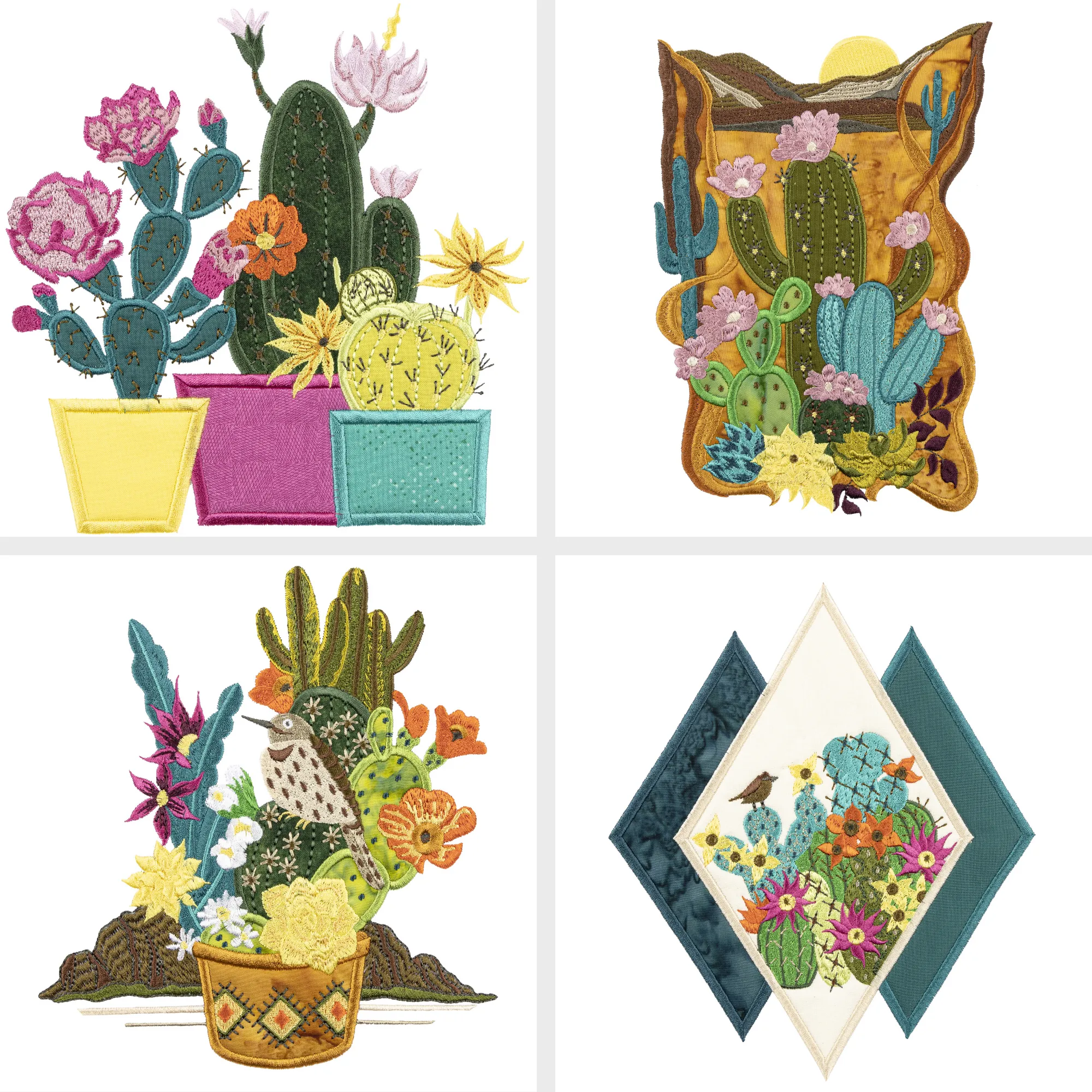Blooming Cacti