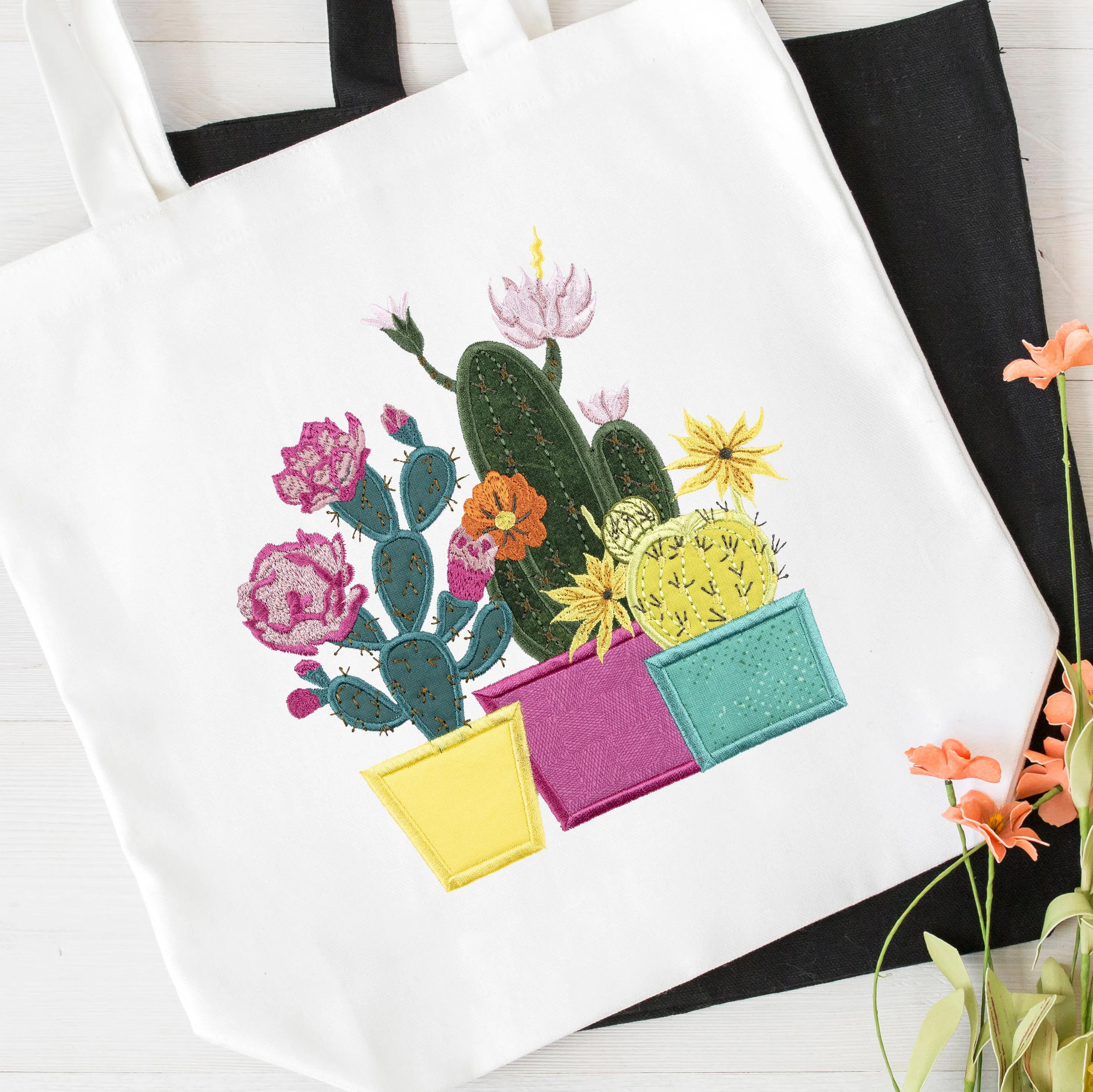 Blooming Cacti