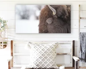 BUFFALO WALL ART