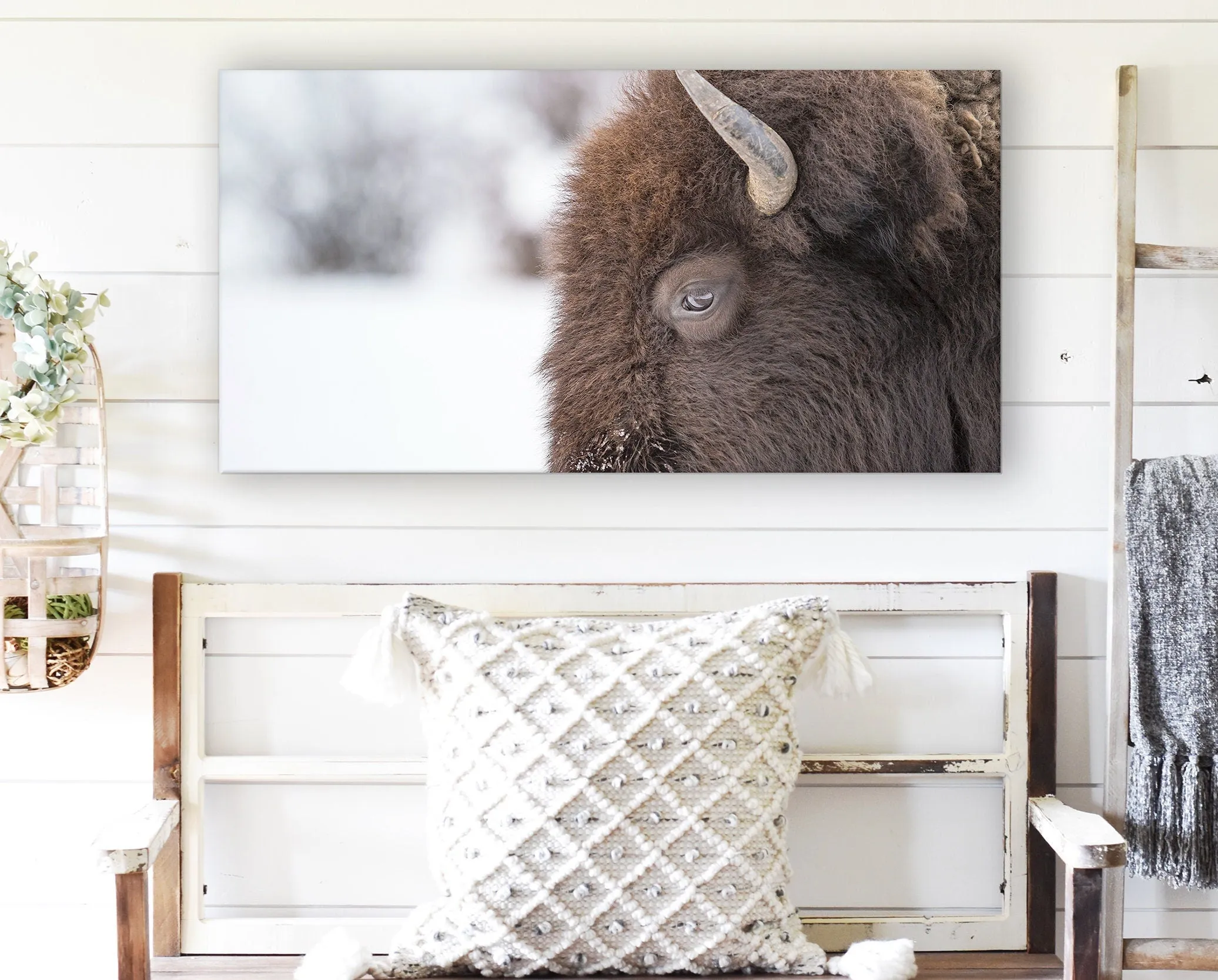 BUFFALO WALL ART