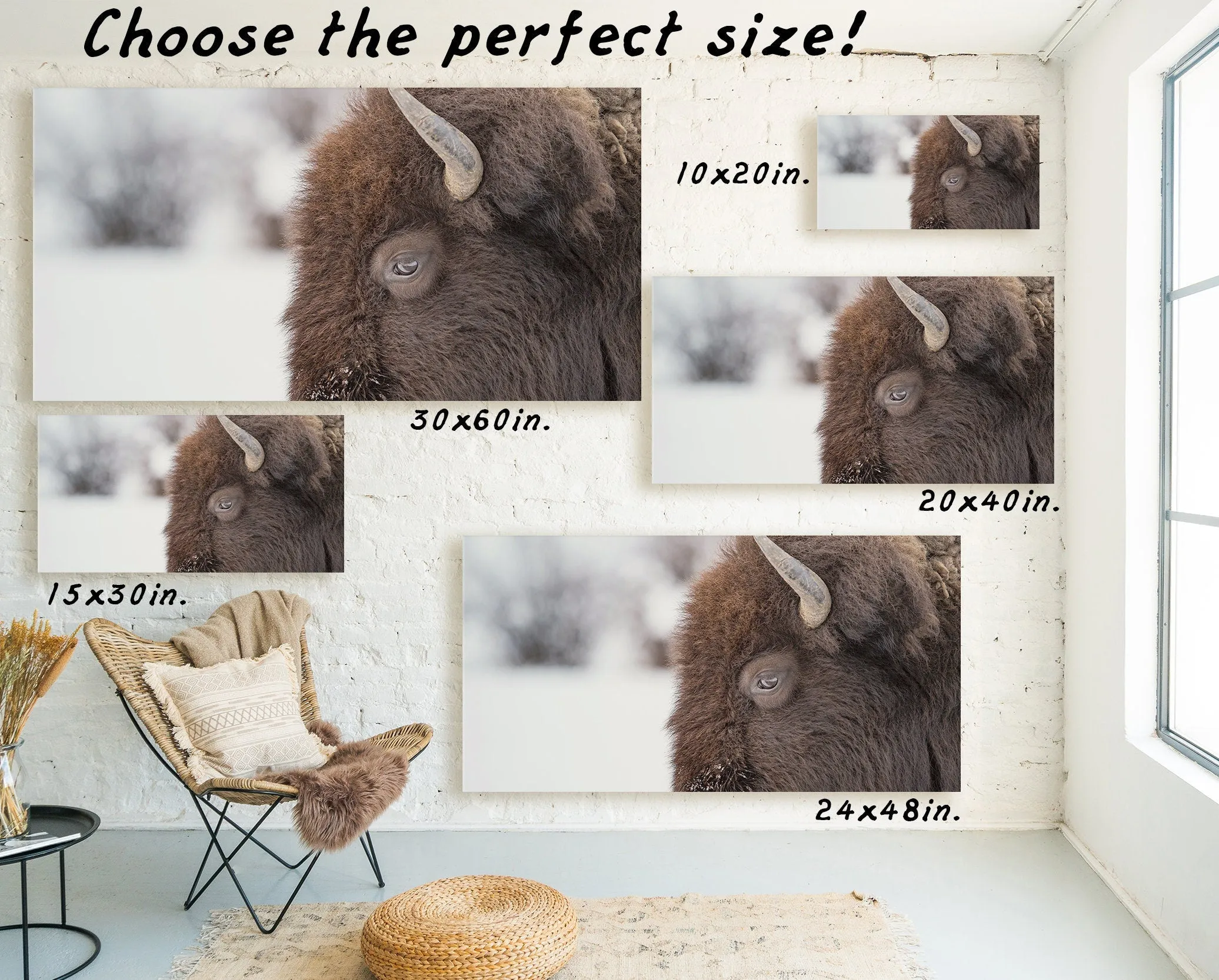 BUFFALO WALL ART