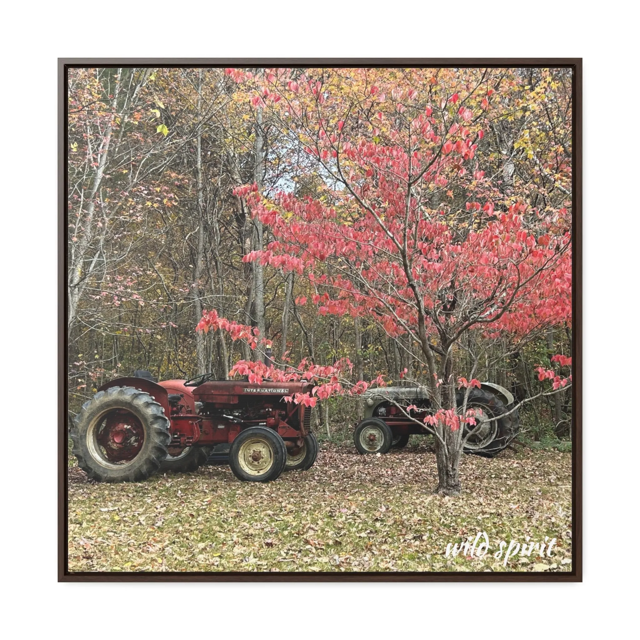 Canvas Wraps Tractors at Woodlands Edge