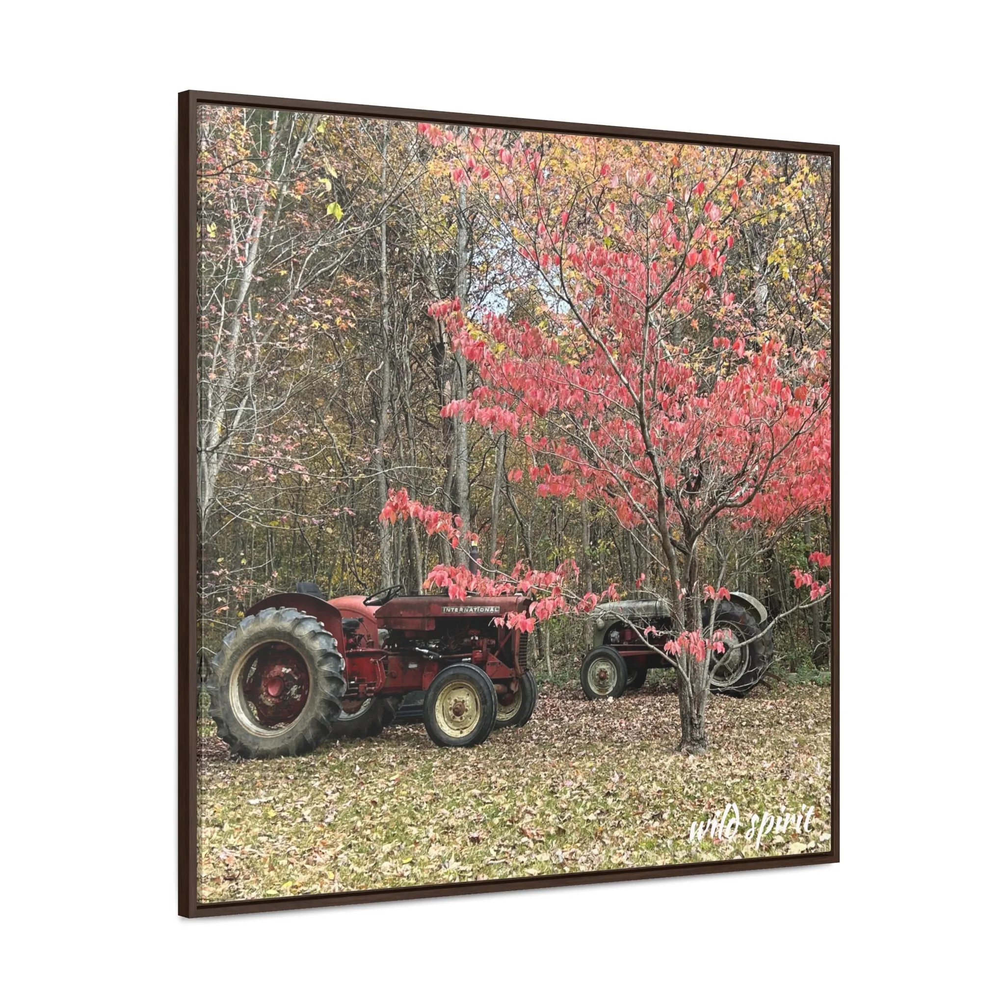 Canvas Wraps Tractors at Woodlands Edge