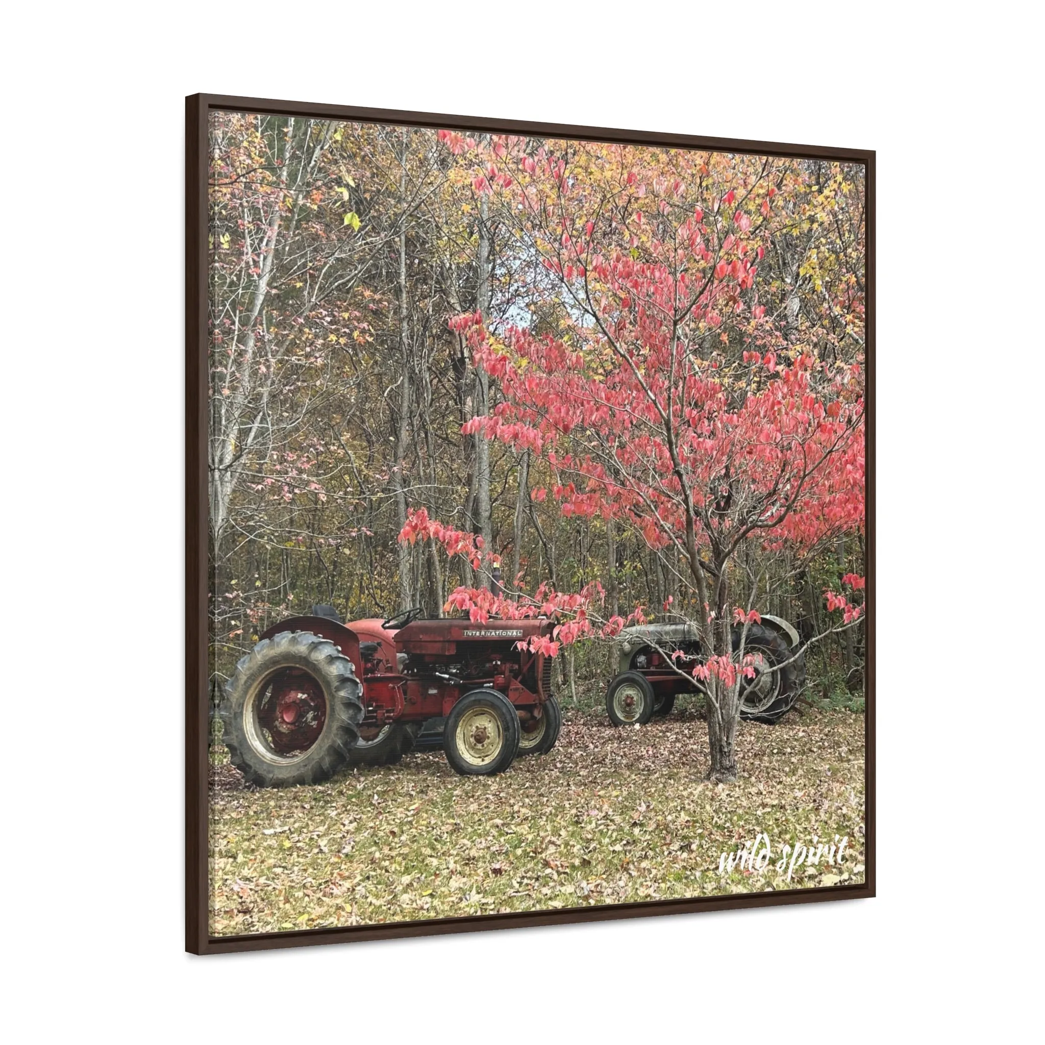Canvas Wraps Tractors at Woodlands Edge