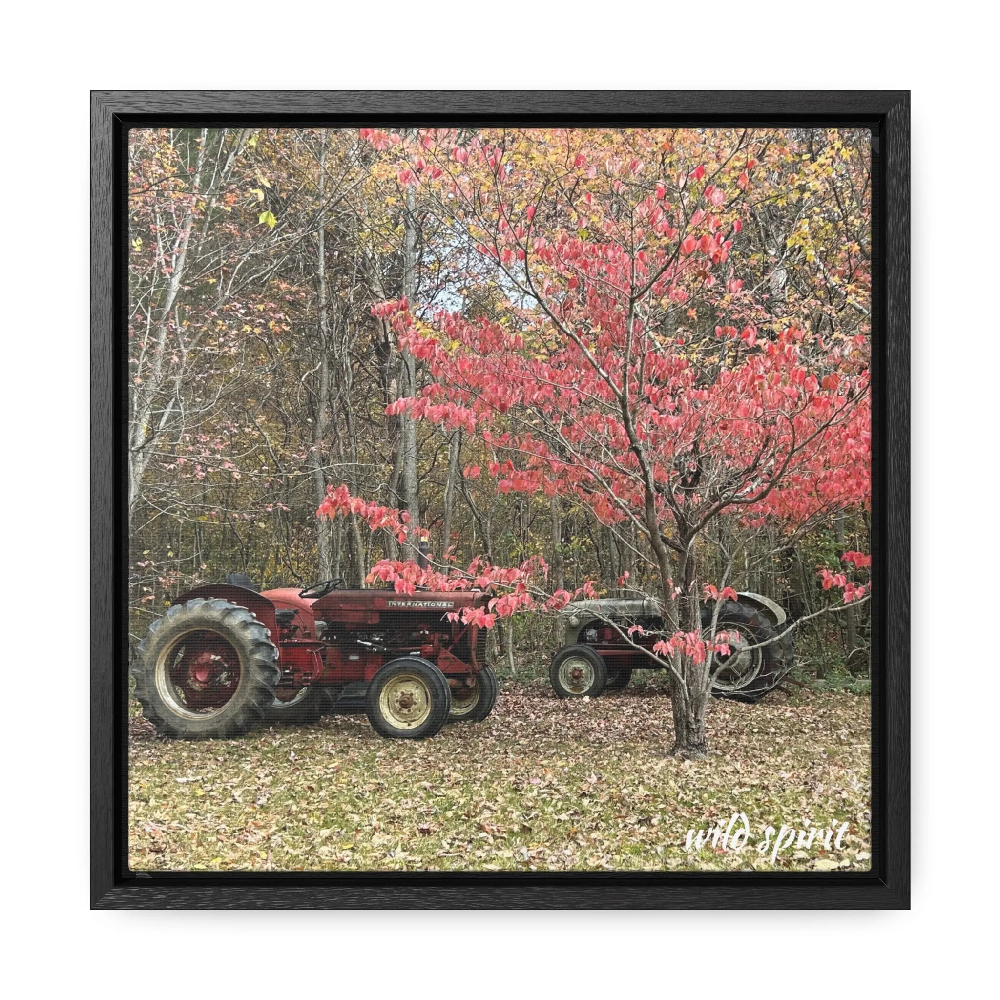 Canvas Wraps Tractors at Woodlands Edge