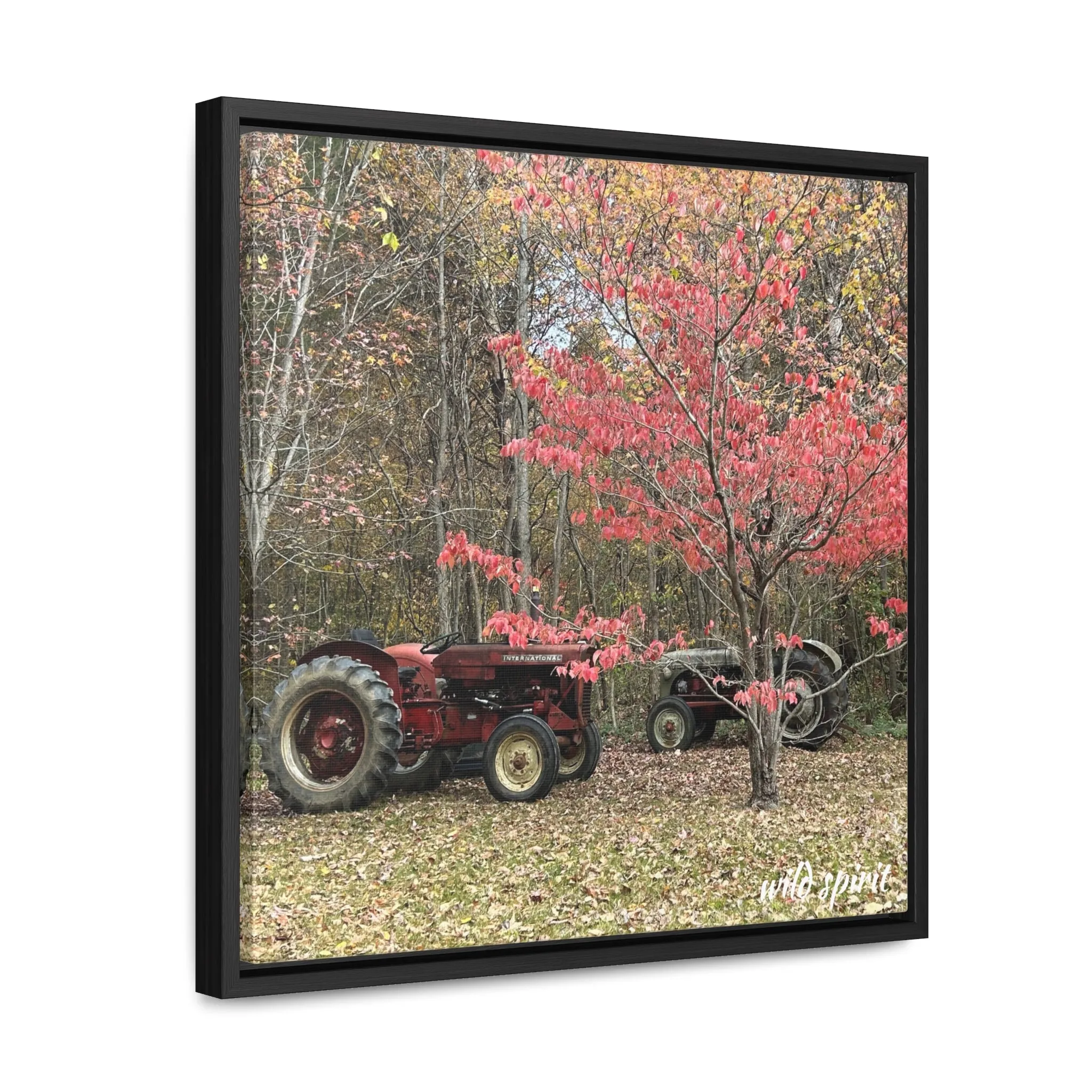 Canvas Wraps Tractors at Woodlands Edge