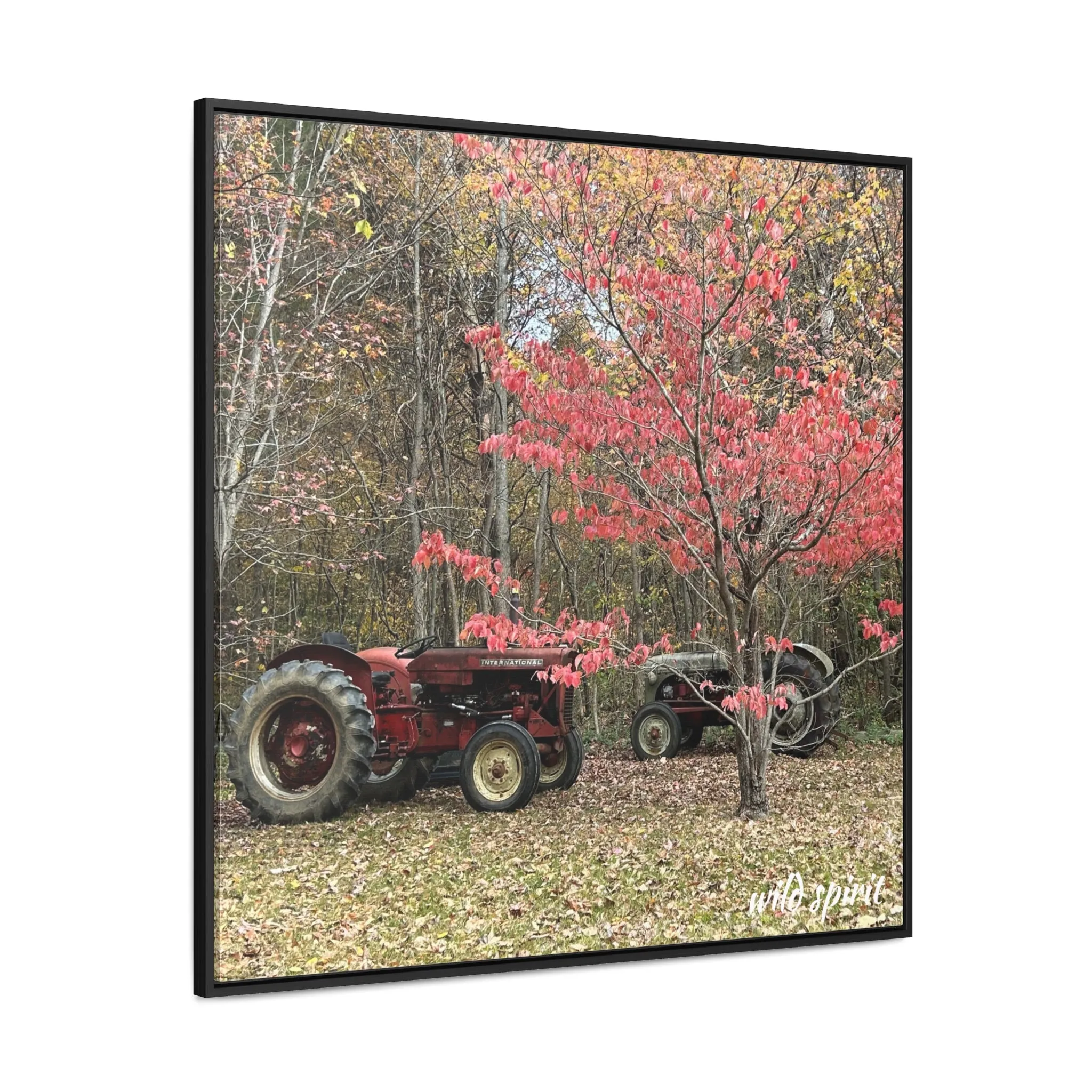 Canvas Wraps Tractors at Woodlands Edge
