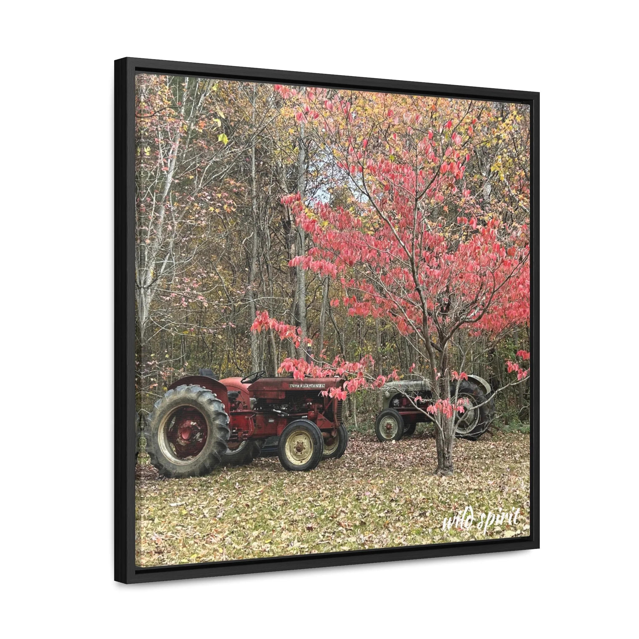 Canvas Wraps Tractors at Woodlands Edge