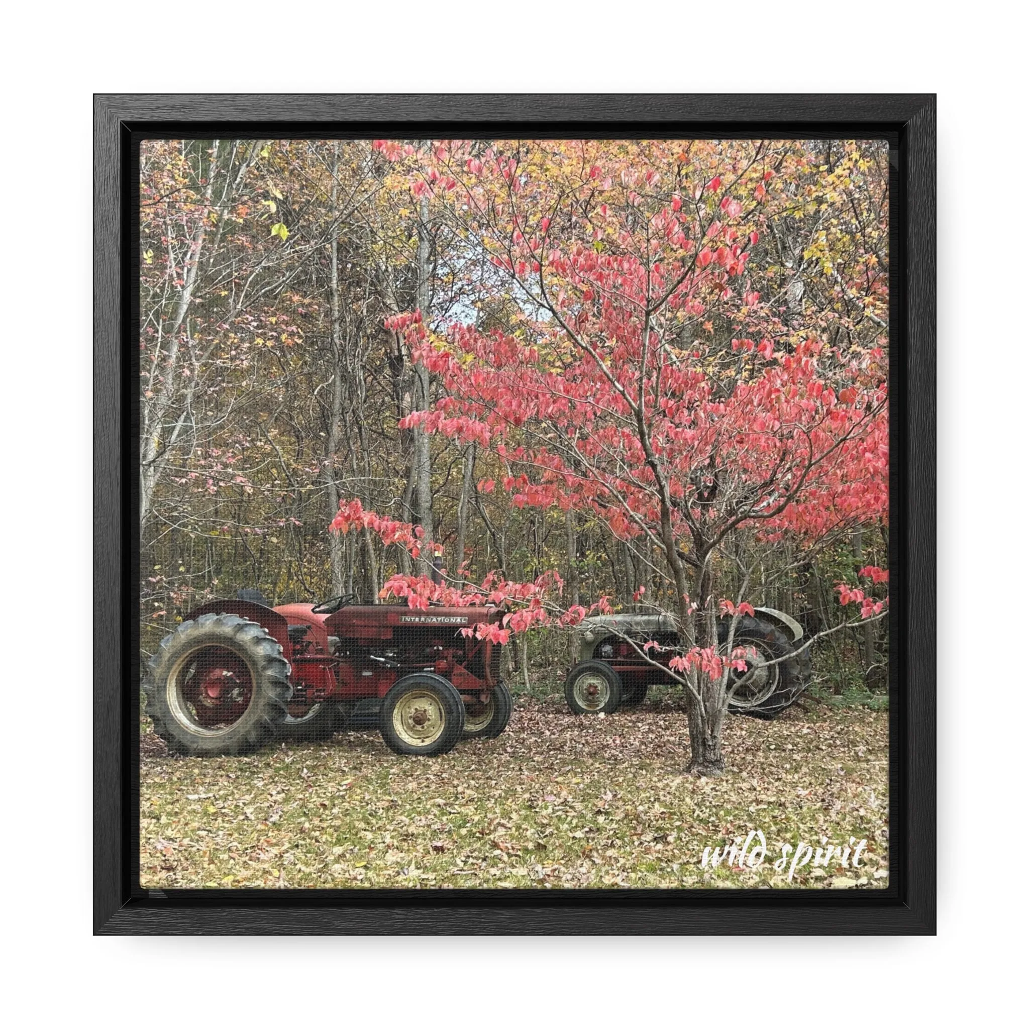 Canvas Wraps Tractors at Woodlands Edge