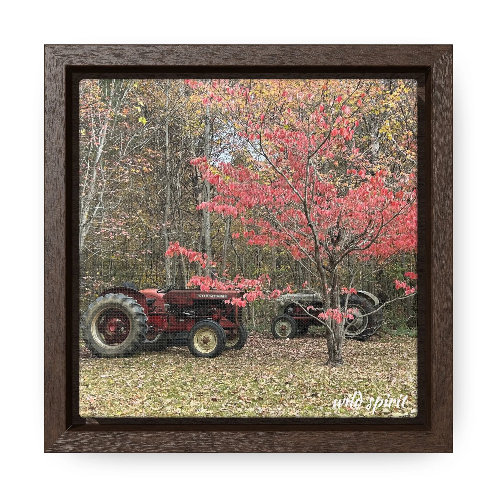 Canvas Wraps Tractors at Woodlands Edge