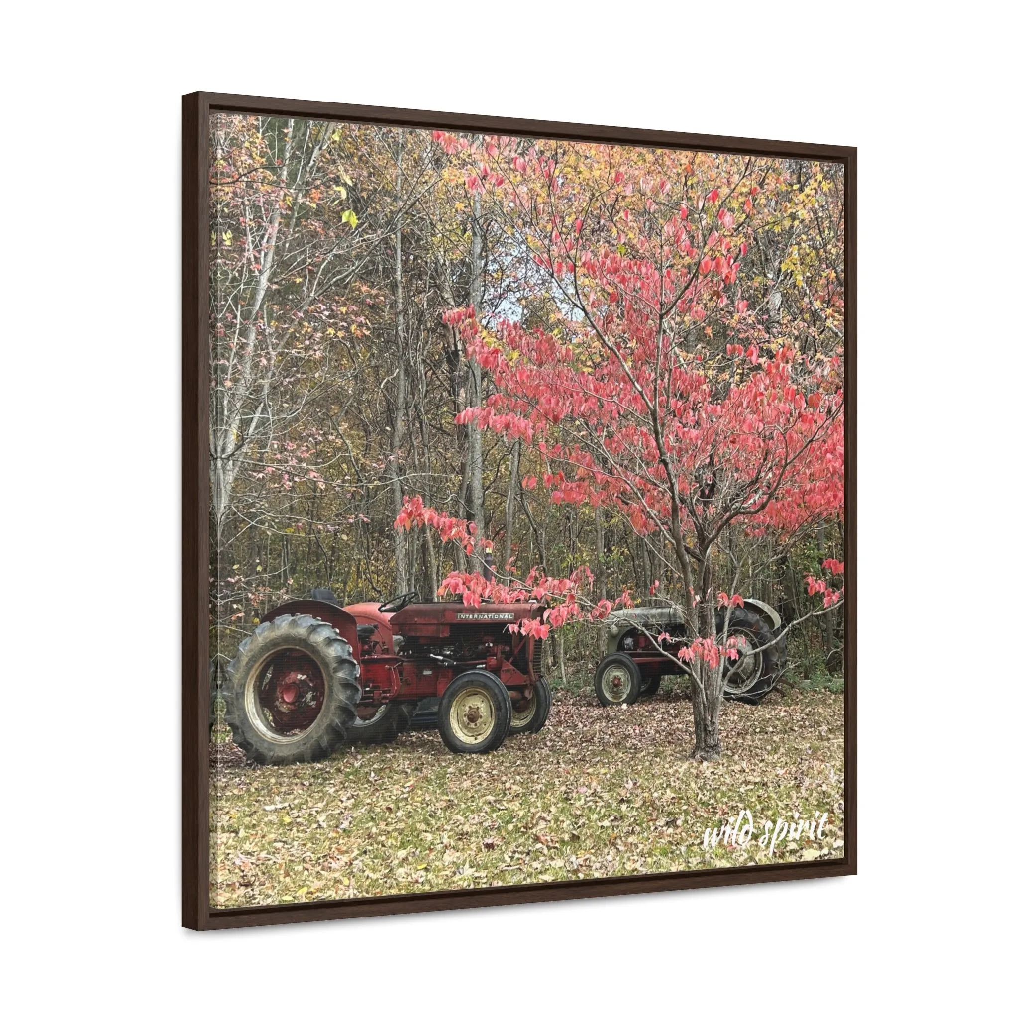 Canvas Wraps Tractors at Woodlands Edge