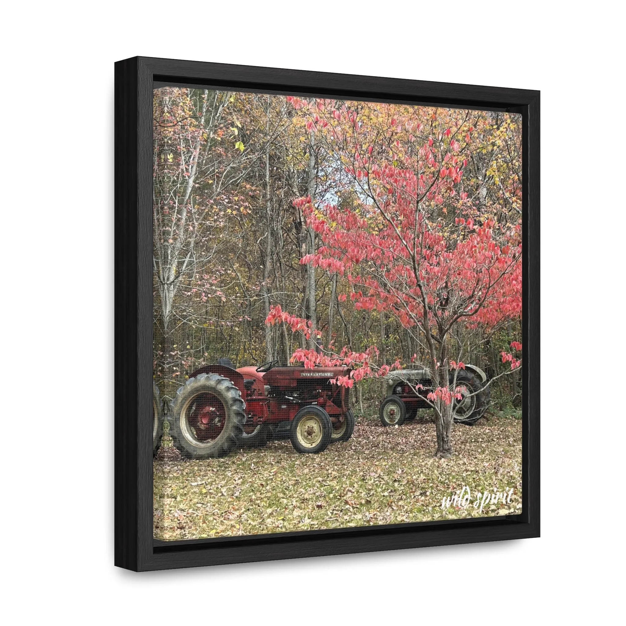 Canvas Wraps Tractors at Woodlands Edge