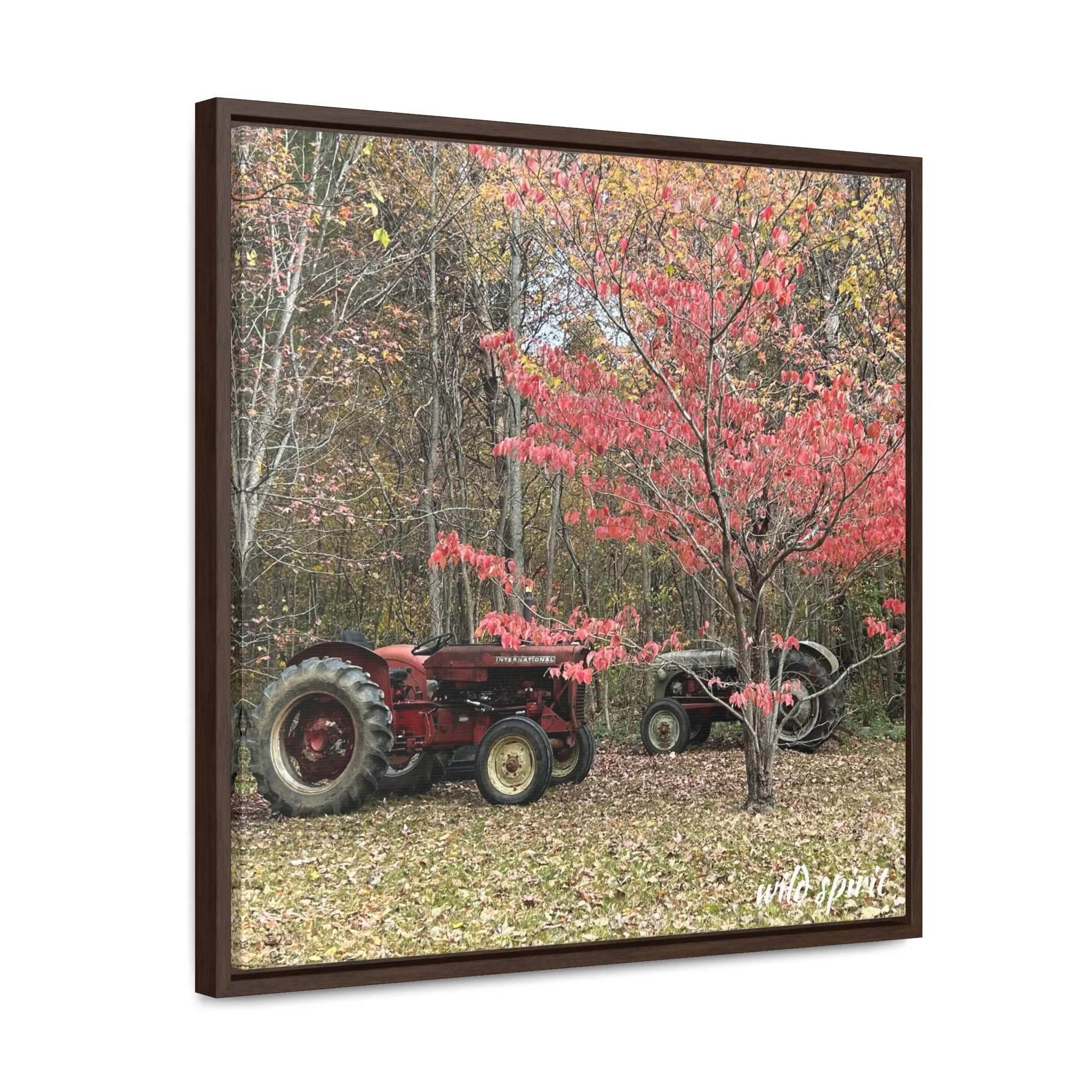 Canvas Wraps Tractors at Woodlands Edge