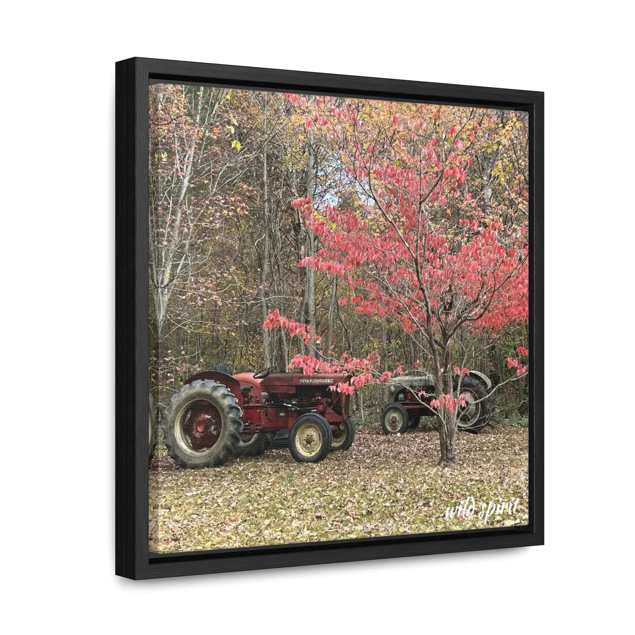 Canvas Wraps Tractors at Woodlands Edge