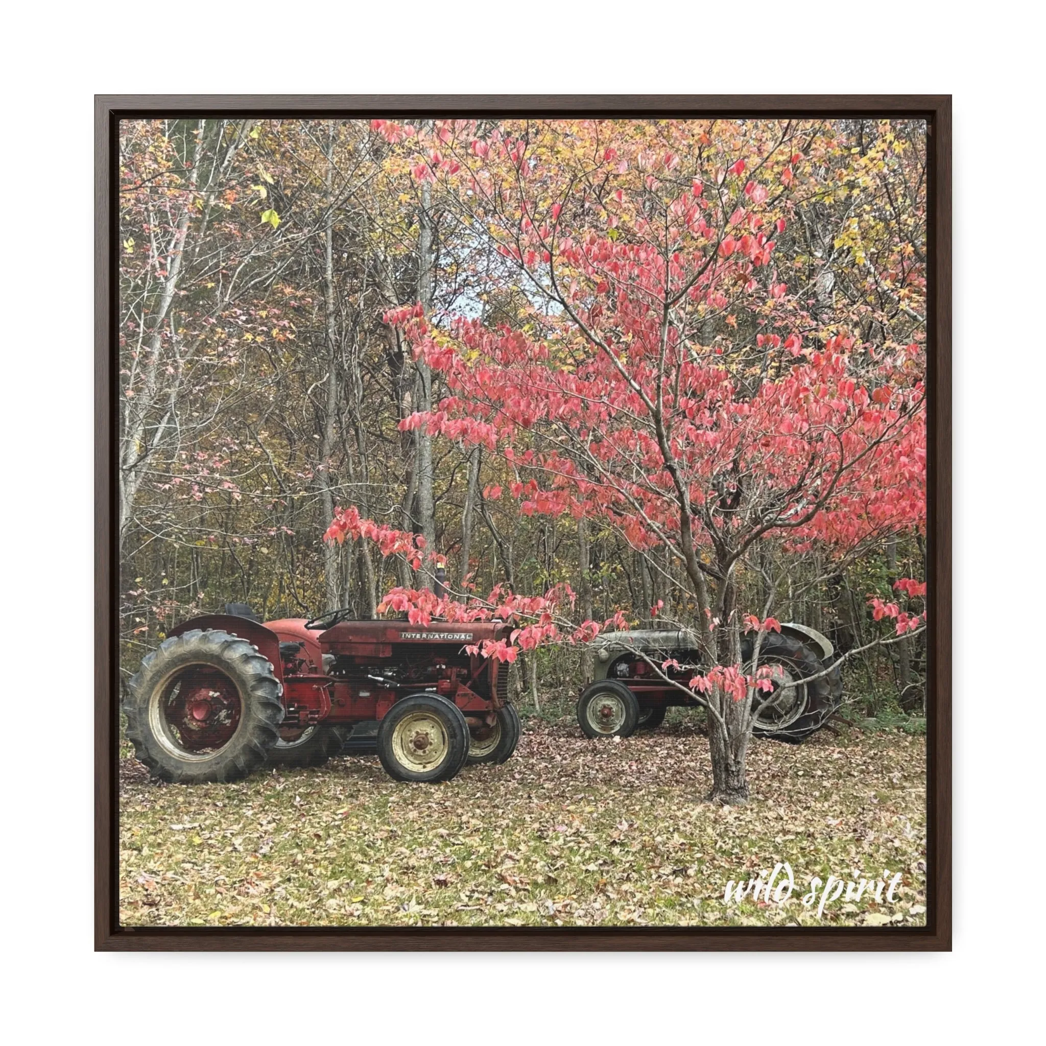 Canvas Wraps Tractors at Woodlands Edge