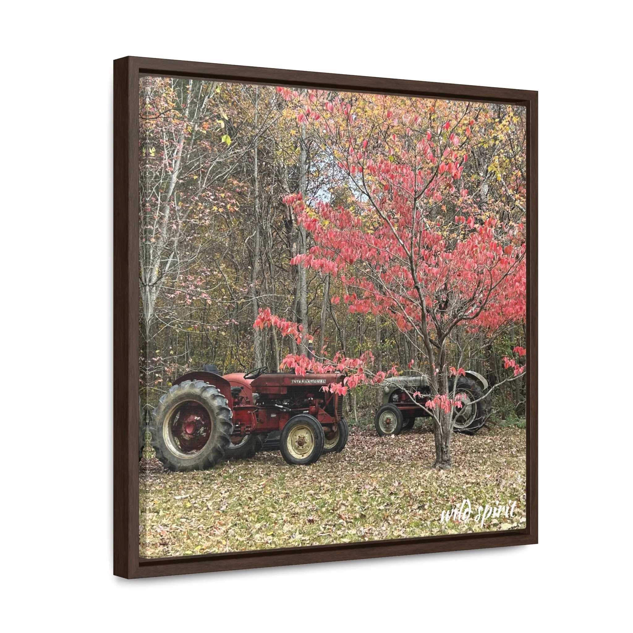 Canvas Wraps Tractors at Woodlands Edge