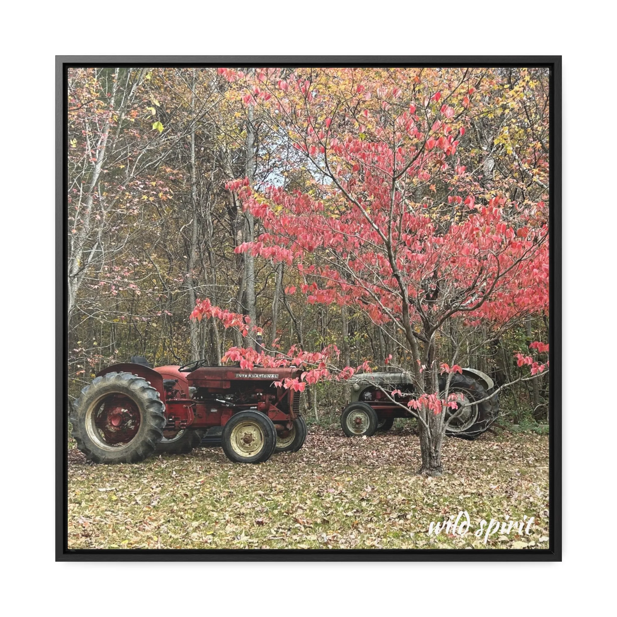 Canvas Wraps Tractors at Woodlands Edge