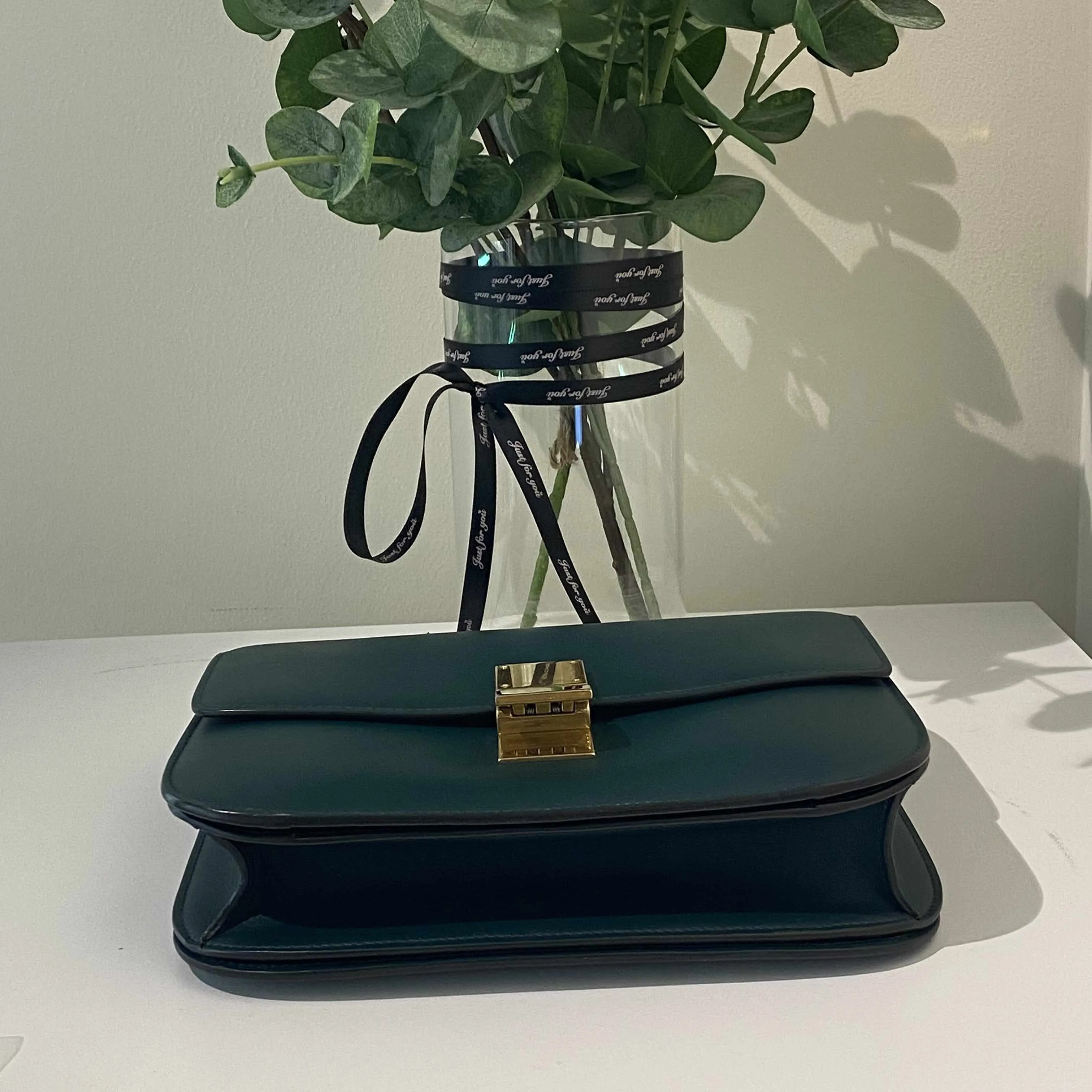 Celine Box Bag Green Leather Crossbody Bag