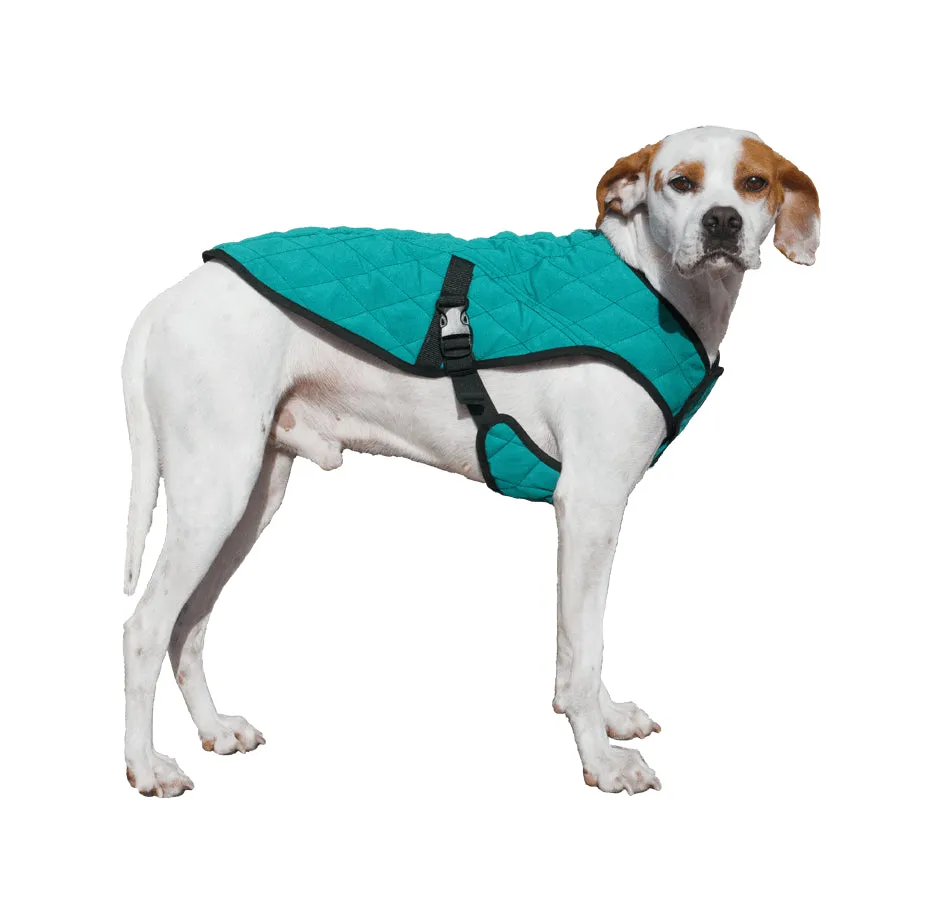 Dog parka