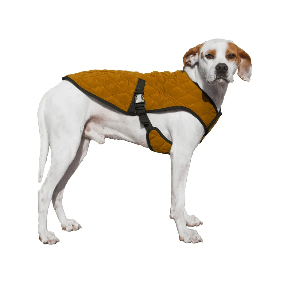 Dog parka