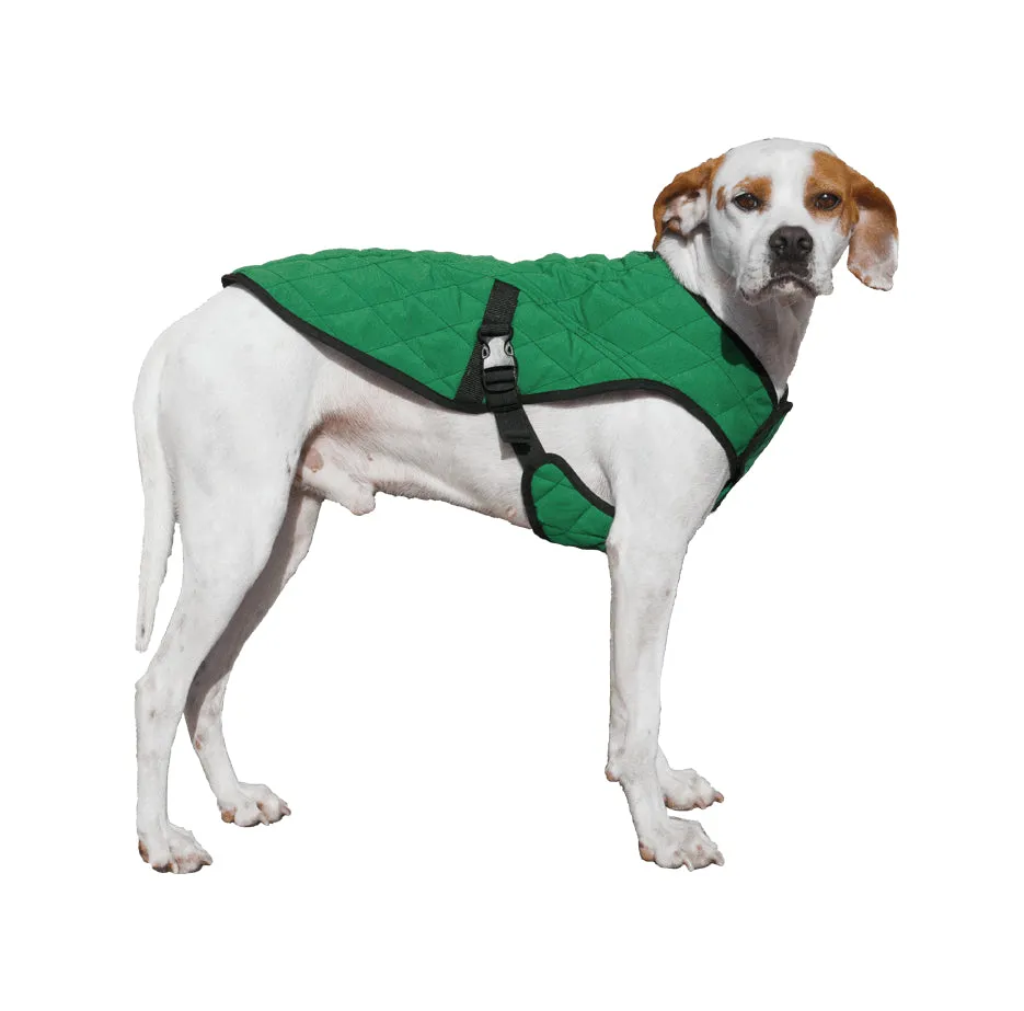 Dog parka