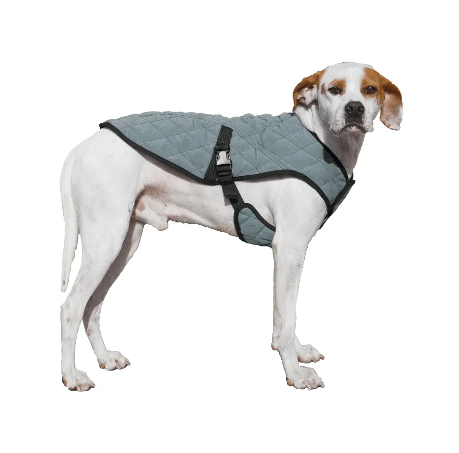 Dog parka