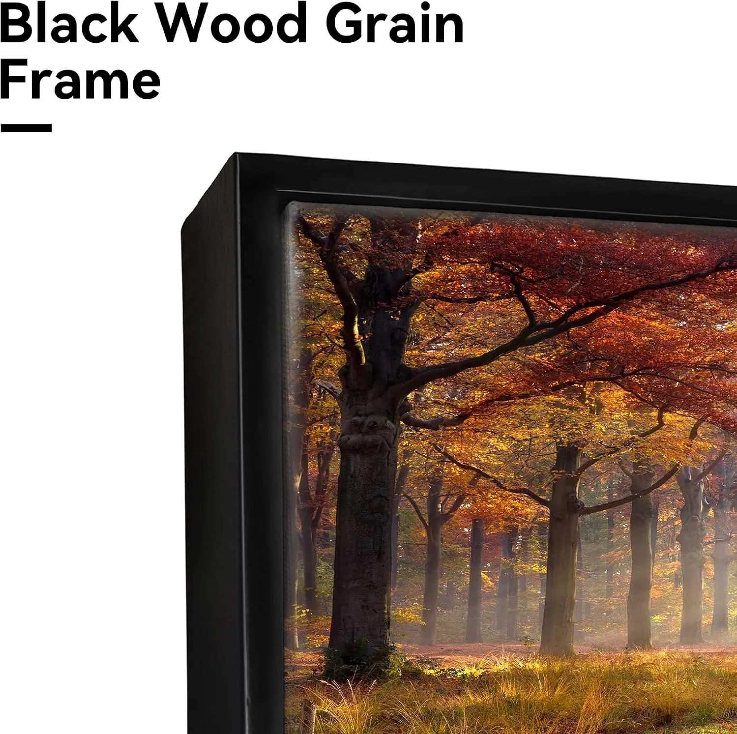Forest Framed Canvas Wall Art - Sunset Woodland Picture Yellow Landscape Artwork Large Nature Scenery Prints for Bedroom Living Room
