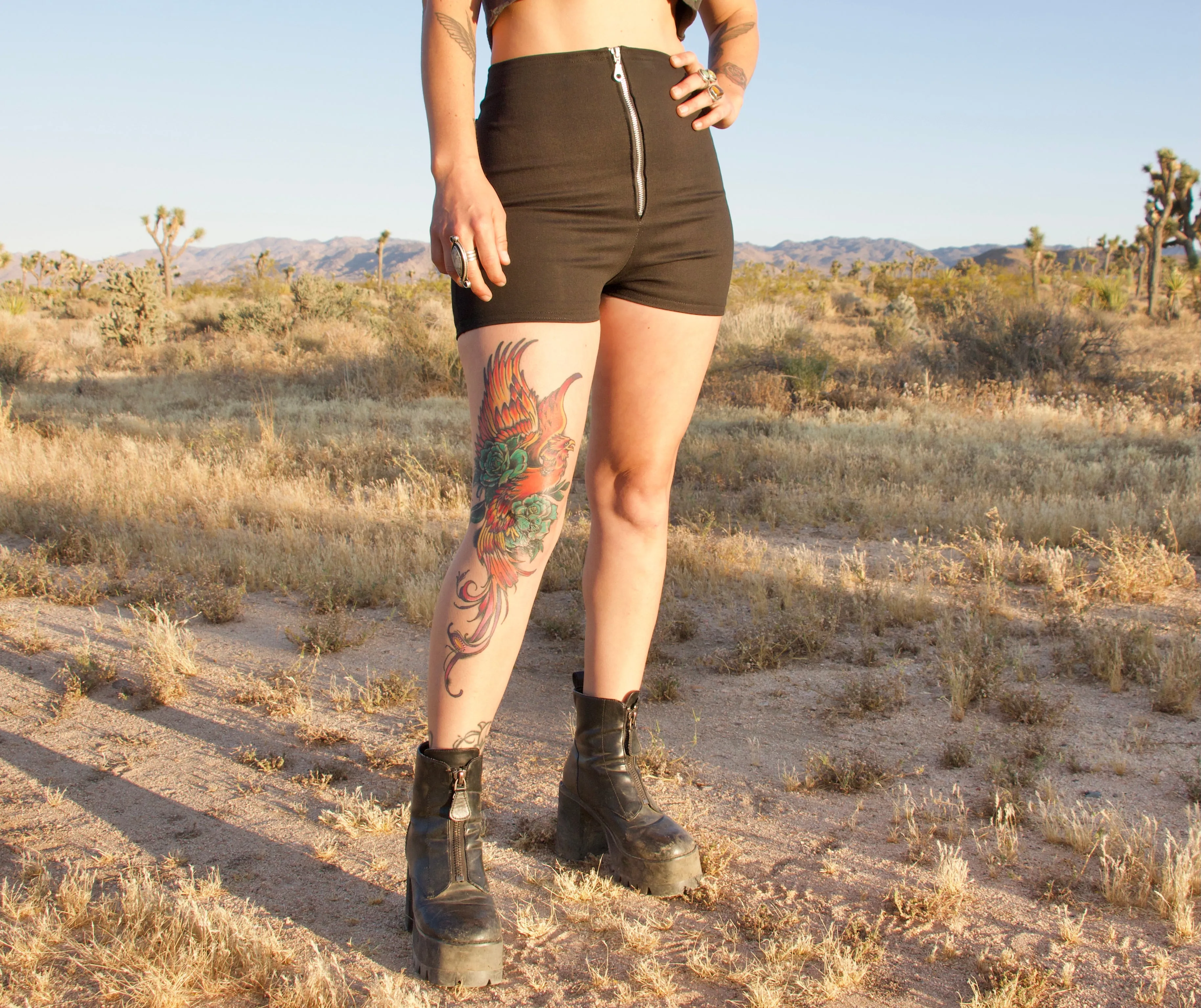Logo Hot Shorts