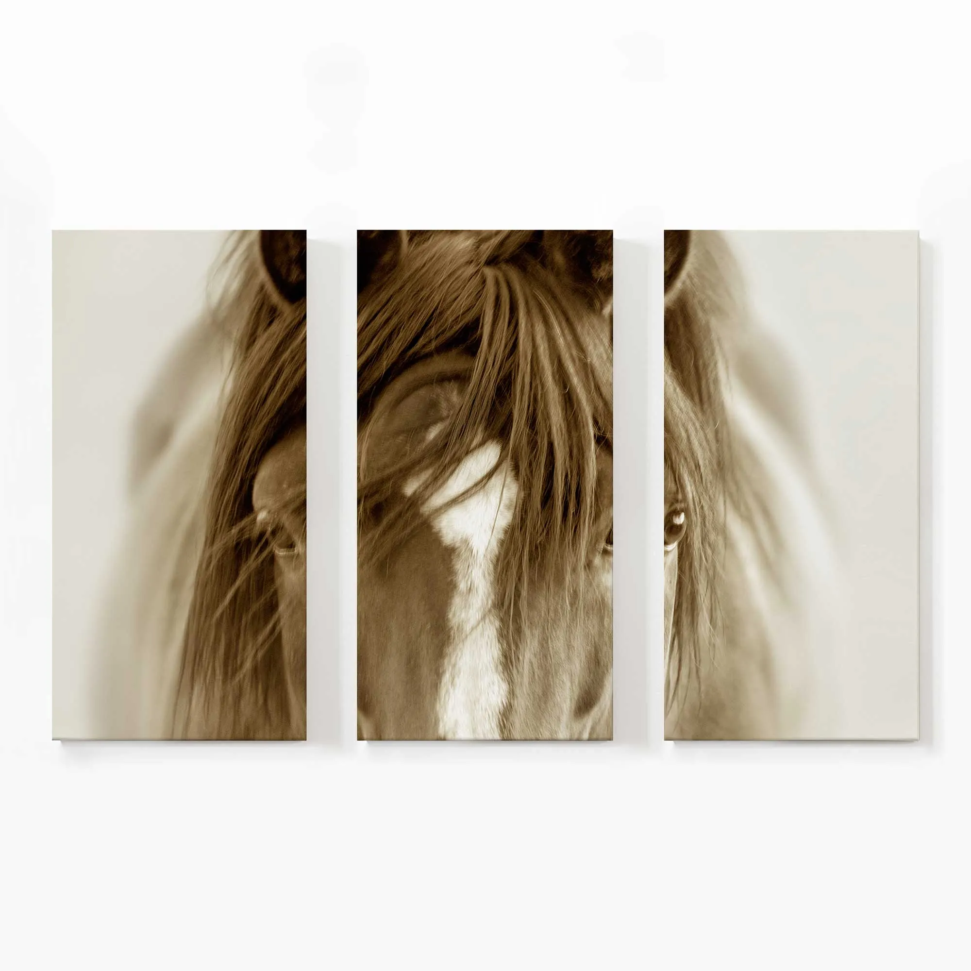 Majestic Wonder Large Canvas Print
