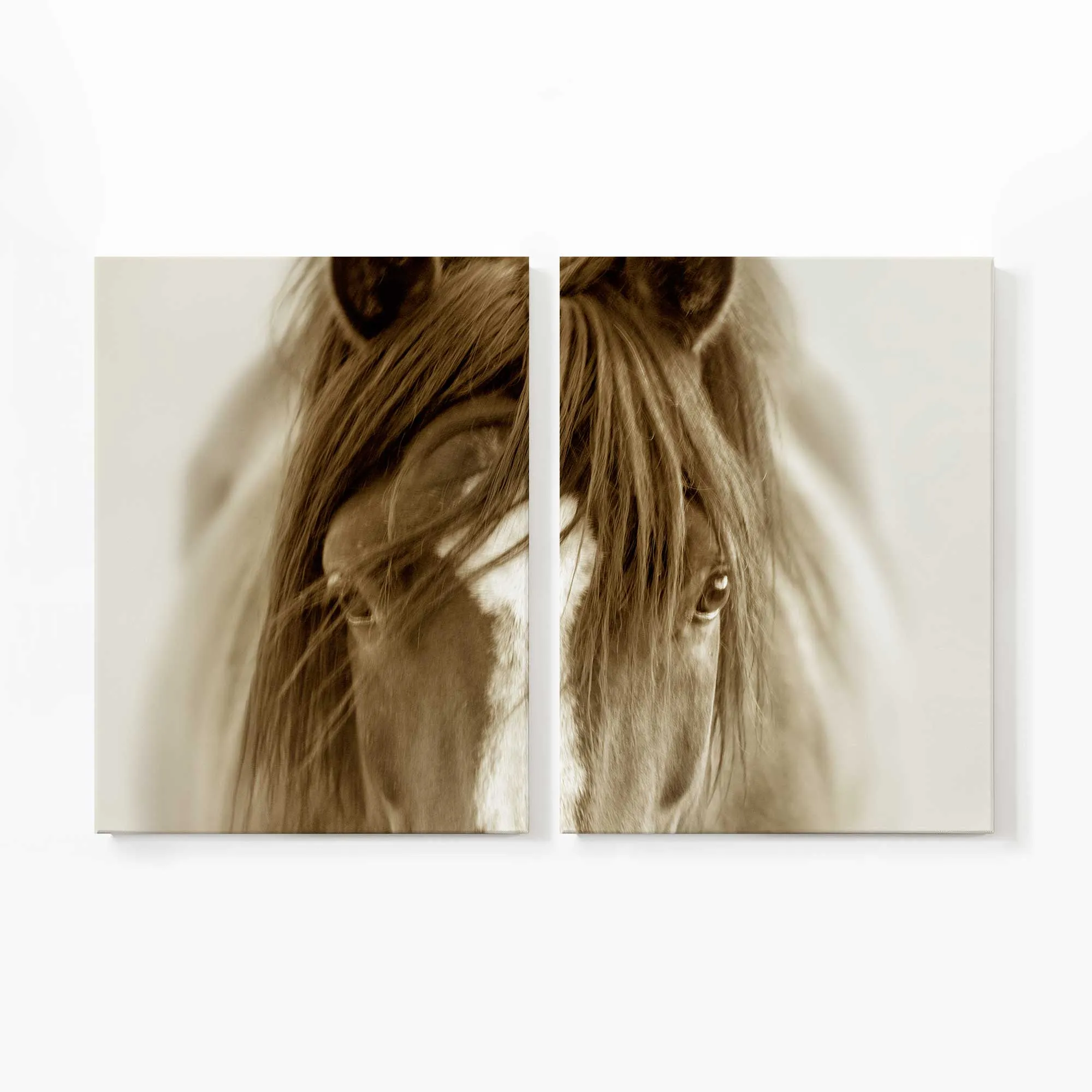 Majestic Wonder Large Canvas Print