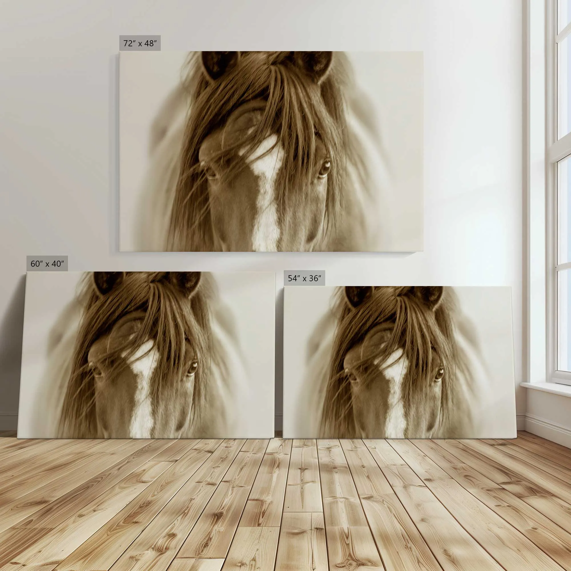 Majestic Wonder Large Canvas Print