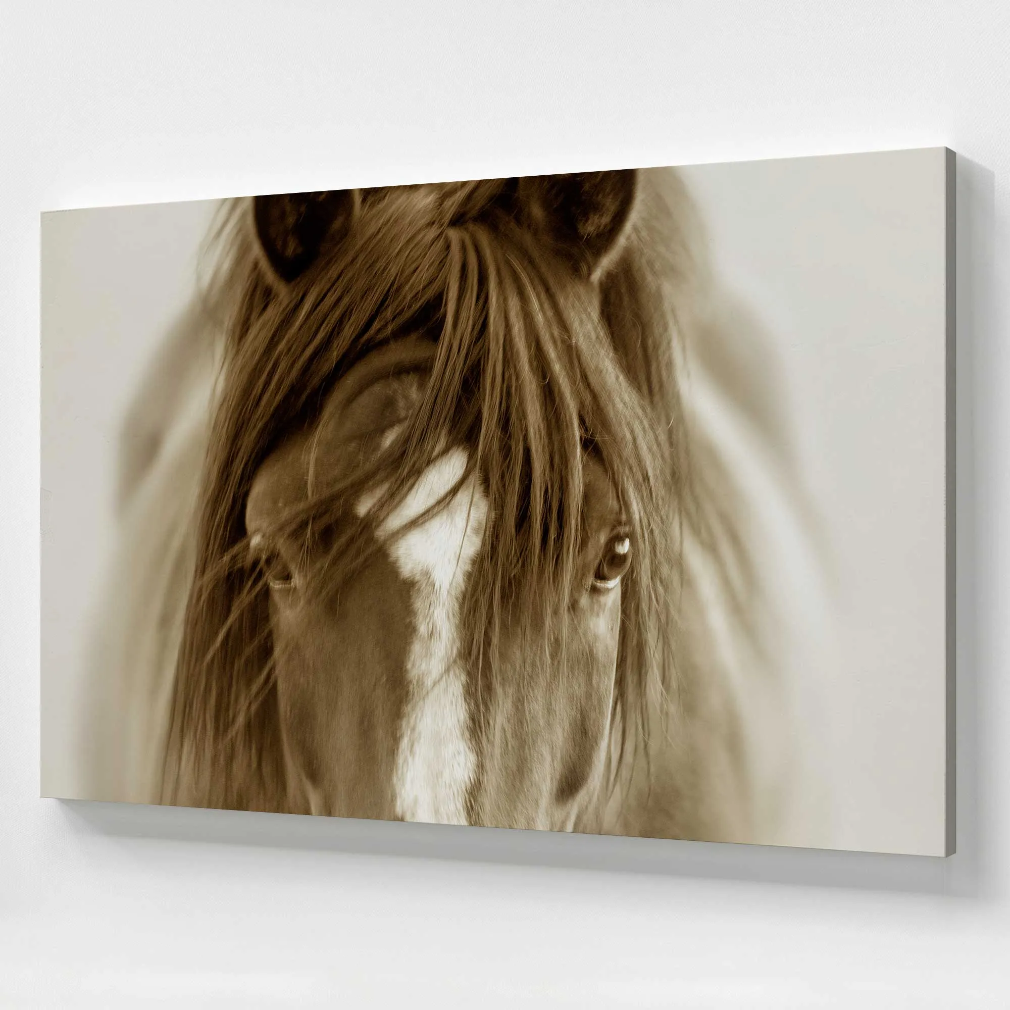 Majestic Wonder Large Canvas Print
