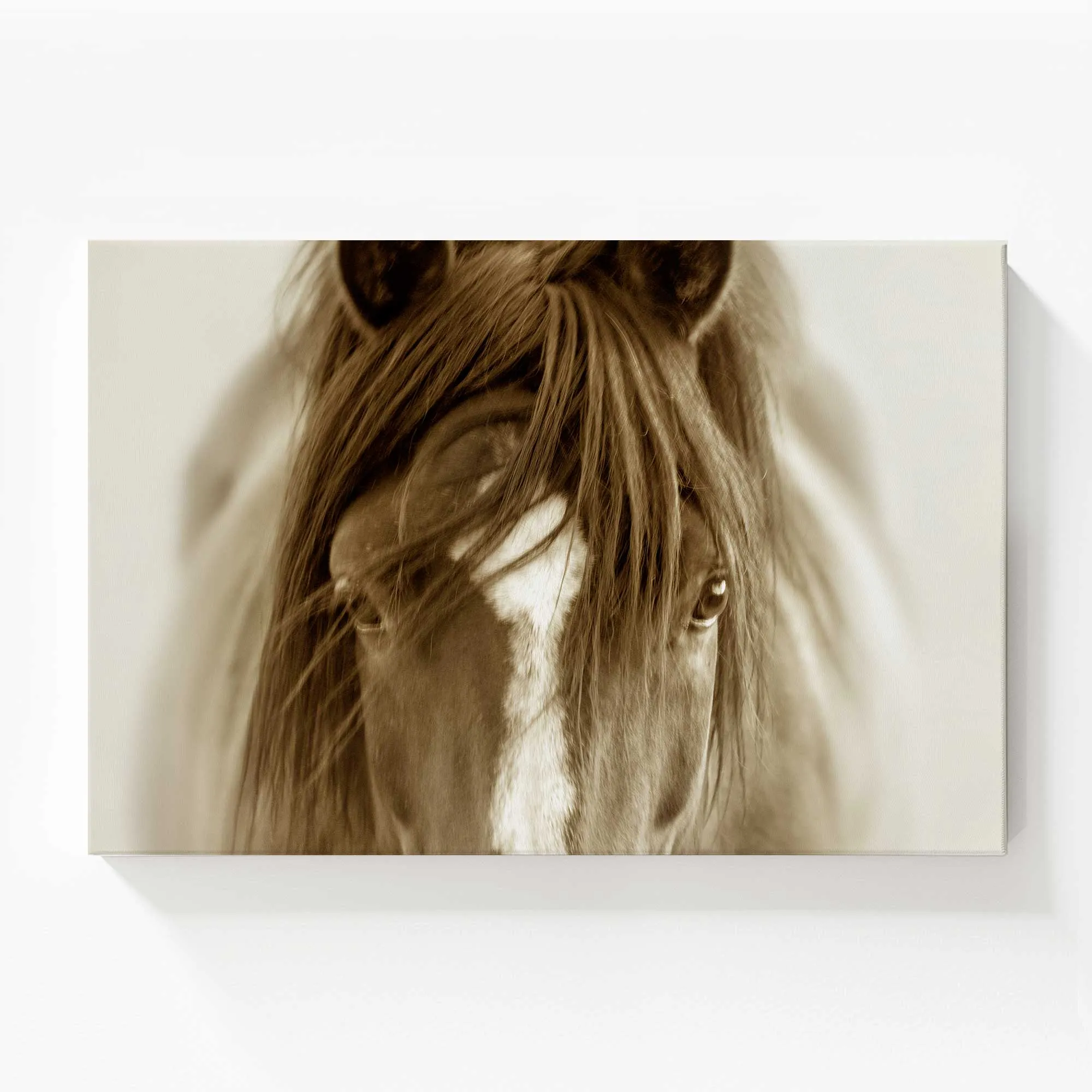 Majestic Wonder Large Canvas Print