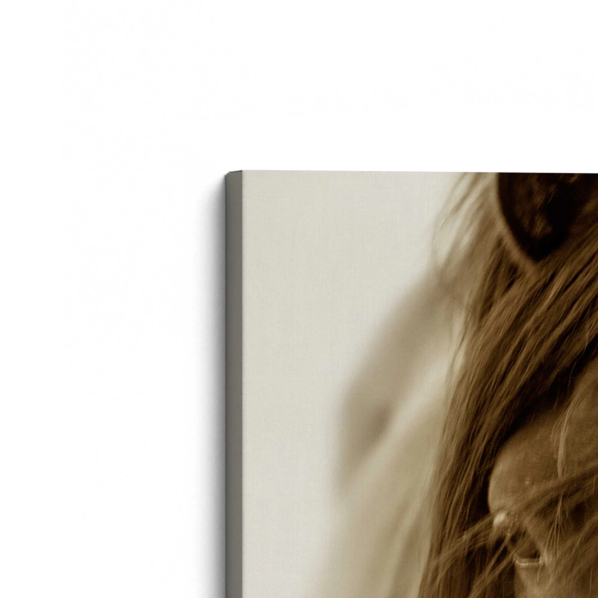 Majestic Wonder Large Canvas Print