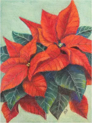 Margo Starkey 'Poinsettia's, 2022' Canvas Art - 24 x 32 Inches