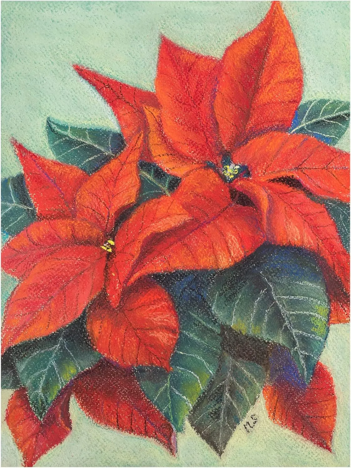 Margo Starkey 'Poinsettia's, 2022' Canvas Art - 24 x 32 Inches